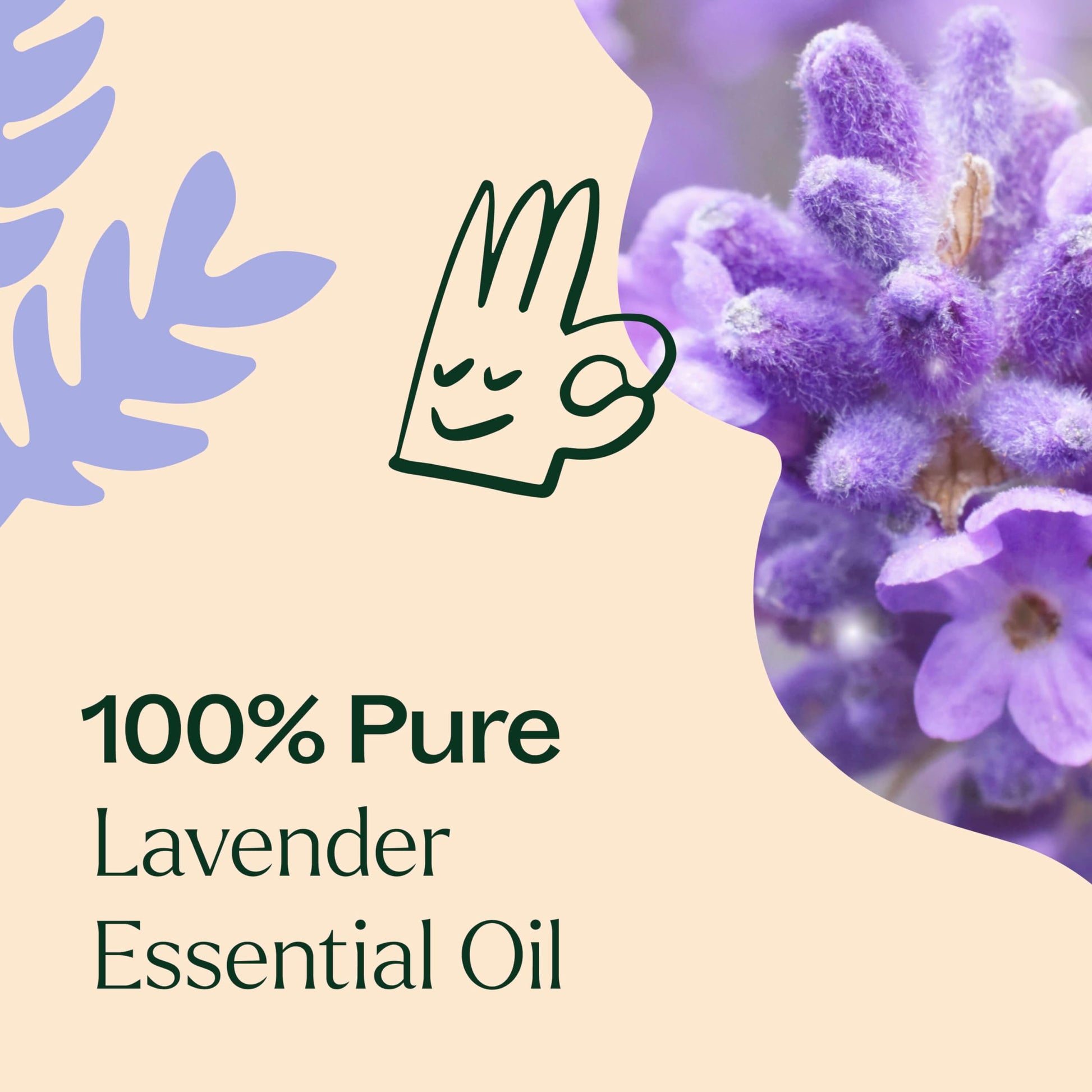 Plant Therapy Lavender Essential Oil 100% Pure, Undiluted, Therapeutic Grade, Aromatherapy Diffuser Plant TherapyAu supplements