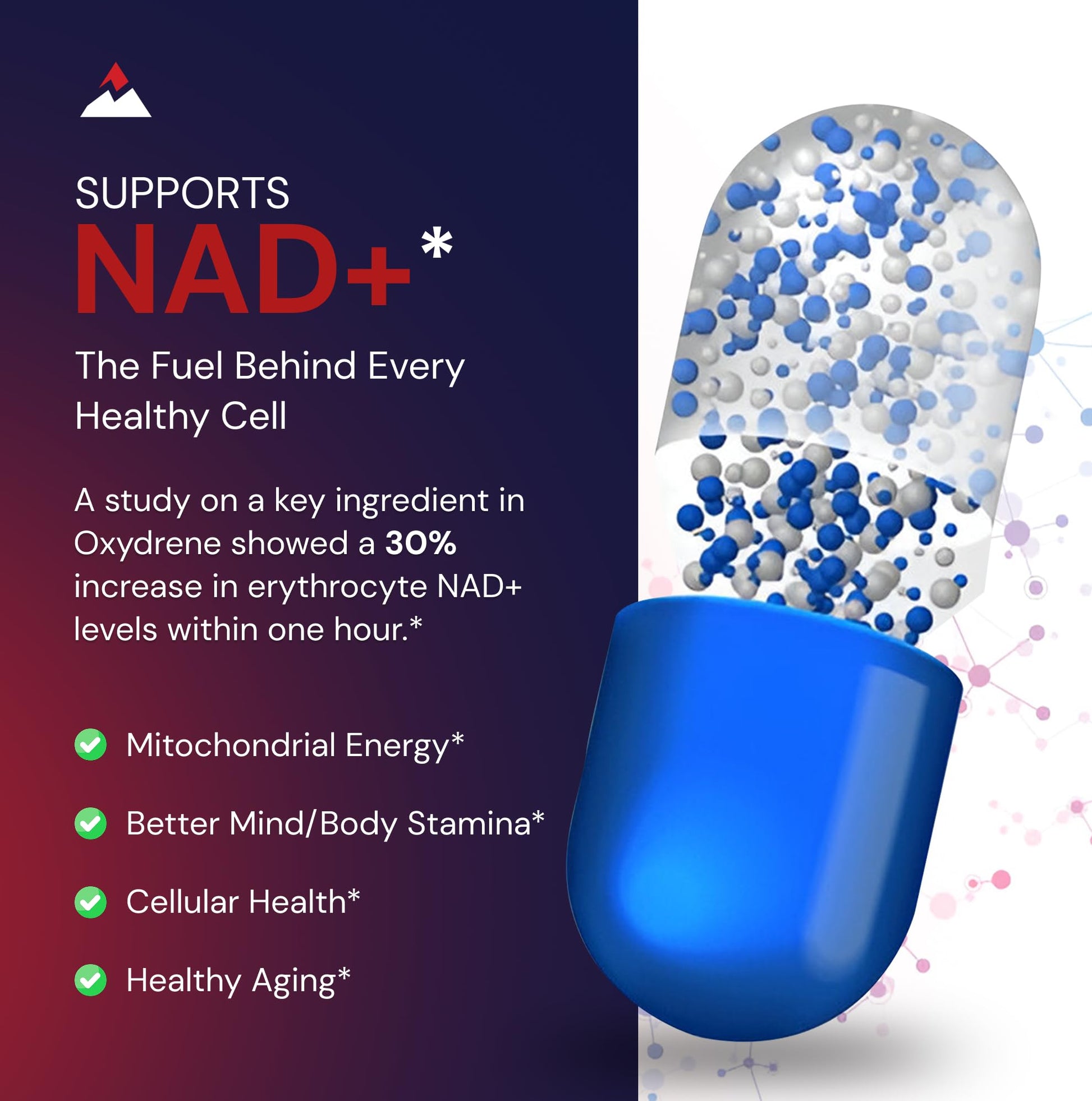 Novex Biotech Oxydrene NAD+ Enhancer - Natural Supplement Promoting Metabolism and Cardiovascular Support for Men and Women - (60 Capsules) Novex BiotechAu supplements