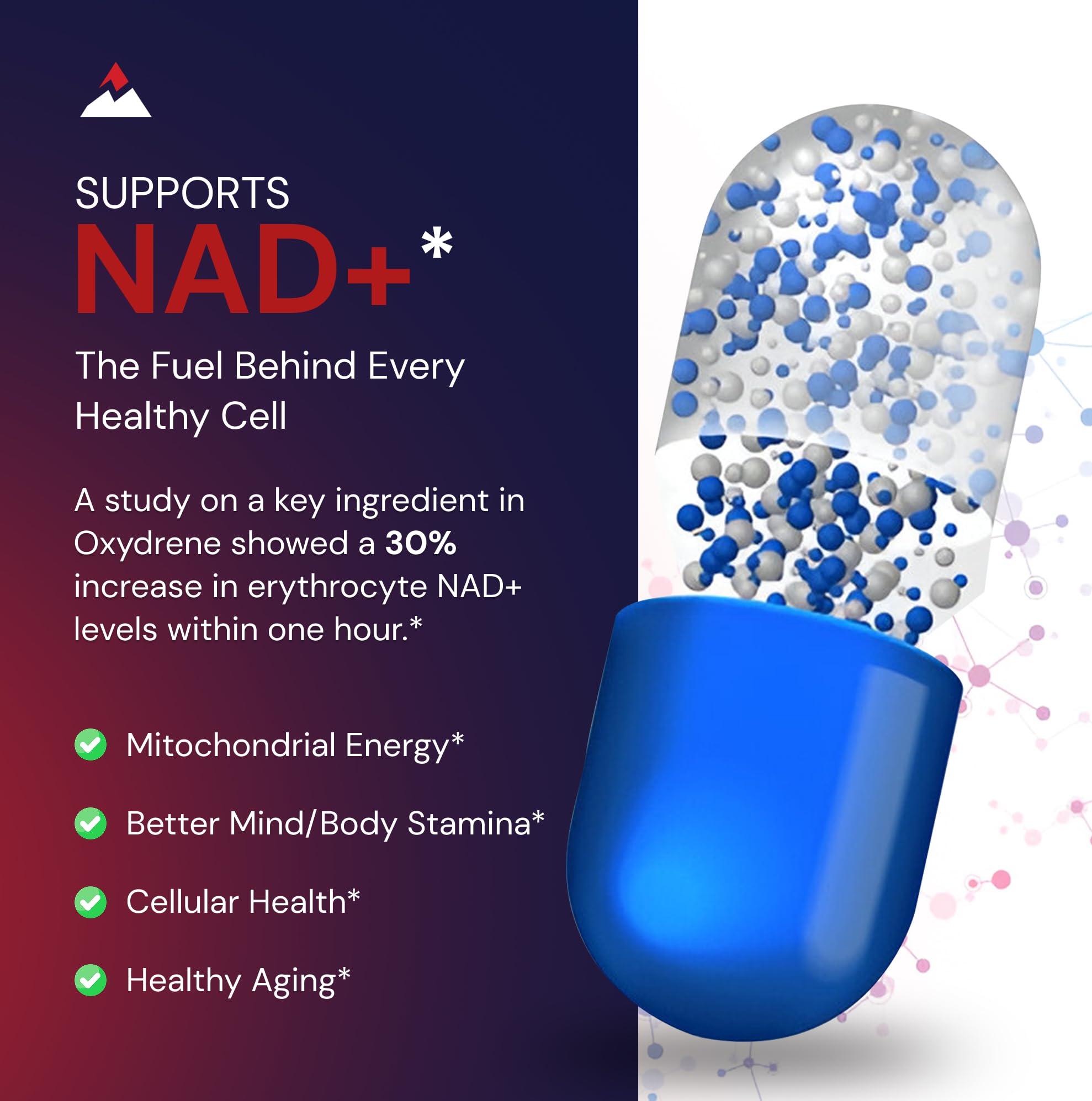 Novex Biotech Oxydrene NAD+ Enhancer - Natural Supplement Promoting Metabolism and Cardiovascular Support for Men and Women - (60 Capsules) Novex BiotechAu supplements