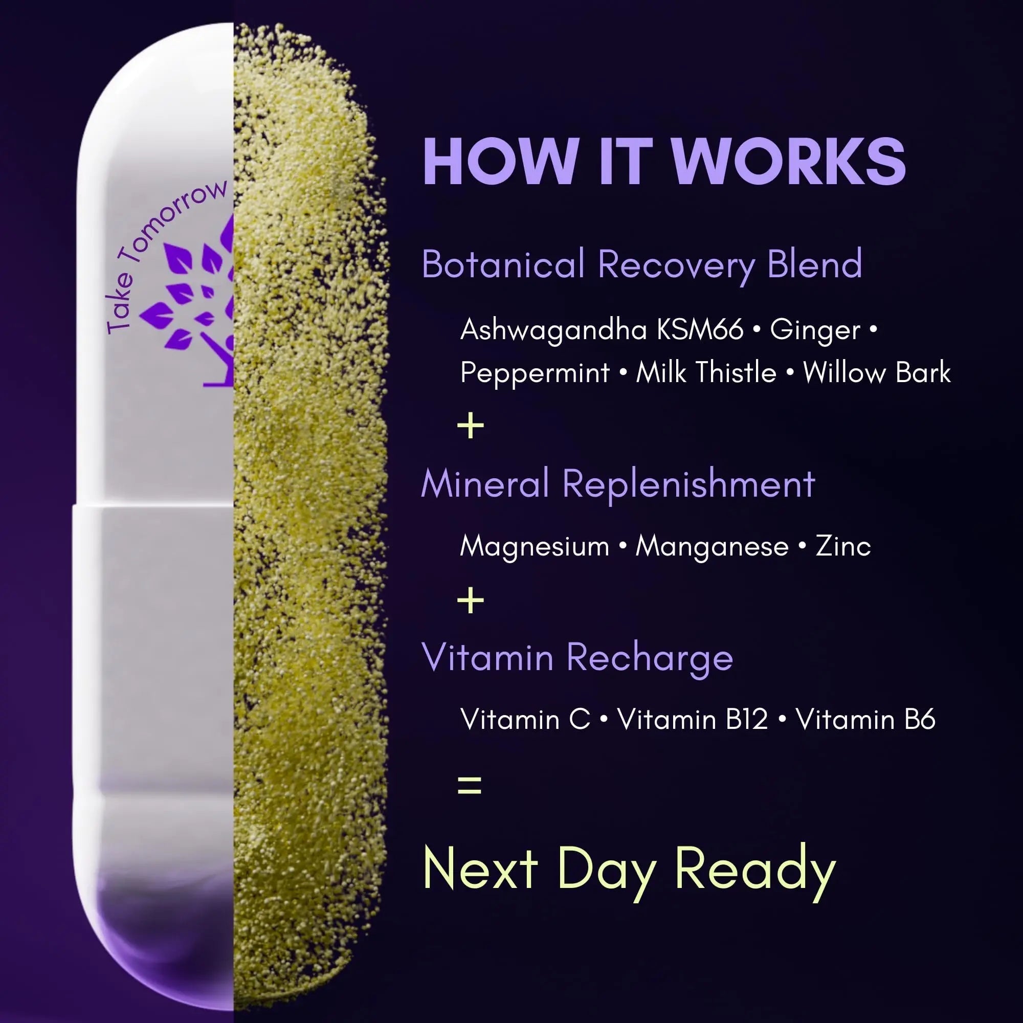 purple tree Next Day – Post-Drink Morning Wellness Supplement for Balance, Restore & Replenishment | Ashwagandha KSM-66, Milk Thistle, Ginger purple treeAu supplements