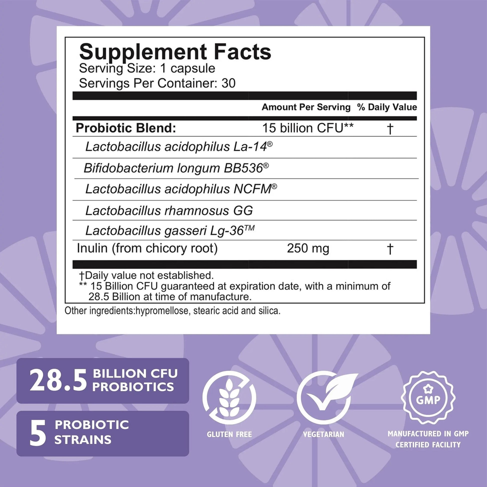 Celebrate Bariatric Essentials Bundle – CelebrateONE Multivitamin, Iron with Vitamin C Chewables, & Balance Probiotic + Prebiotic – Complete Nutritional & Digestive Support for WLS Patients Celebrate Bariatric SupplementsAu supplements