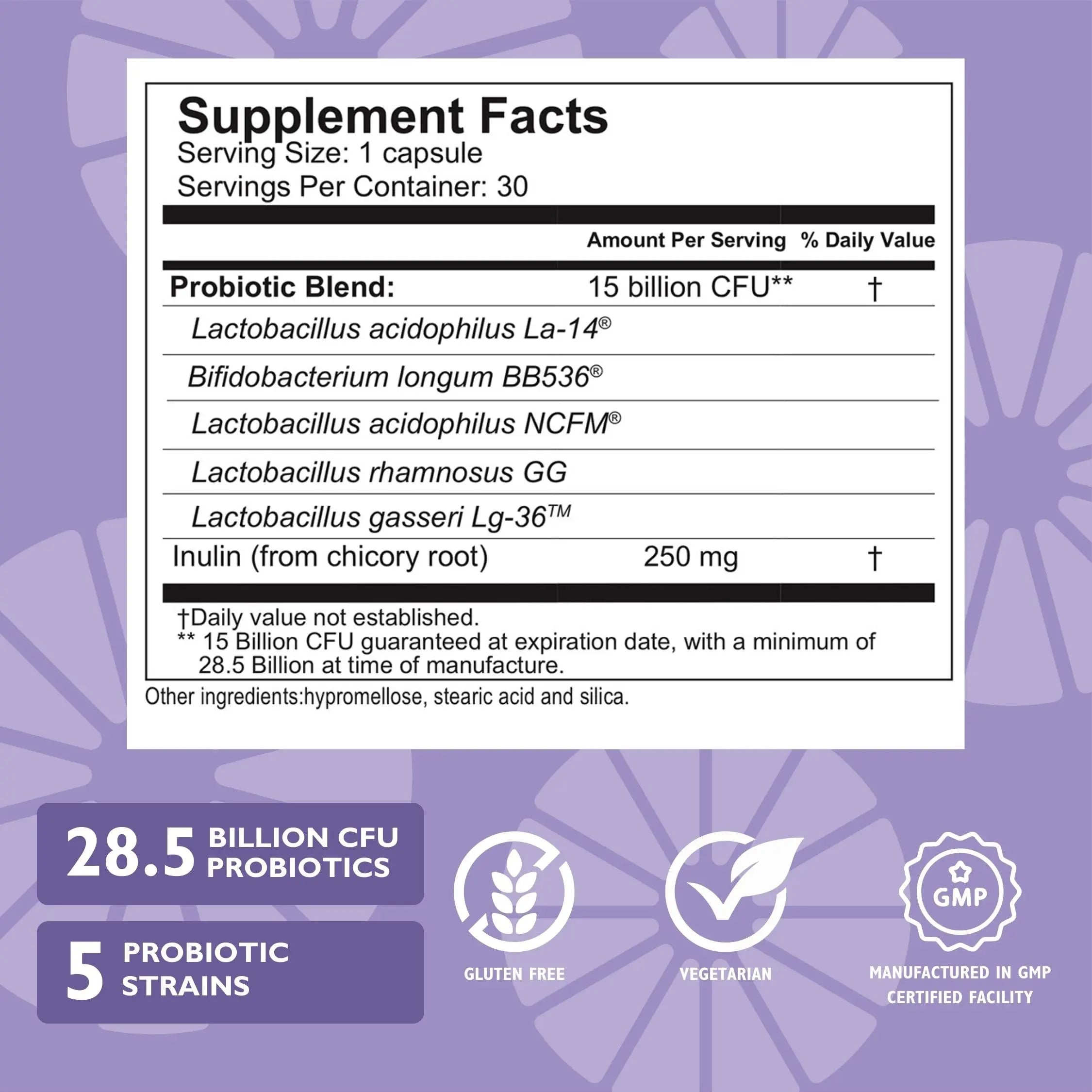 Celebrate Bariatric Essentials Bundle – CelebrateONE Multivitamin, Iron with Vitamin C Chewables, & Balance Probiotic + Prebiotic – Complete Nutritional & Digestive Support for WLS Patients Celebrate Bariatric SupplementsAu supplements