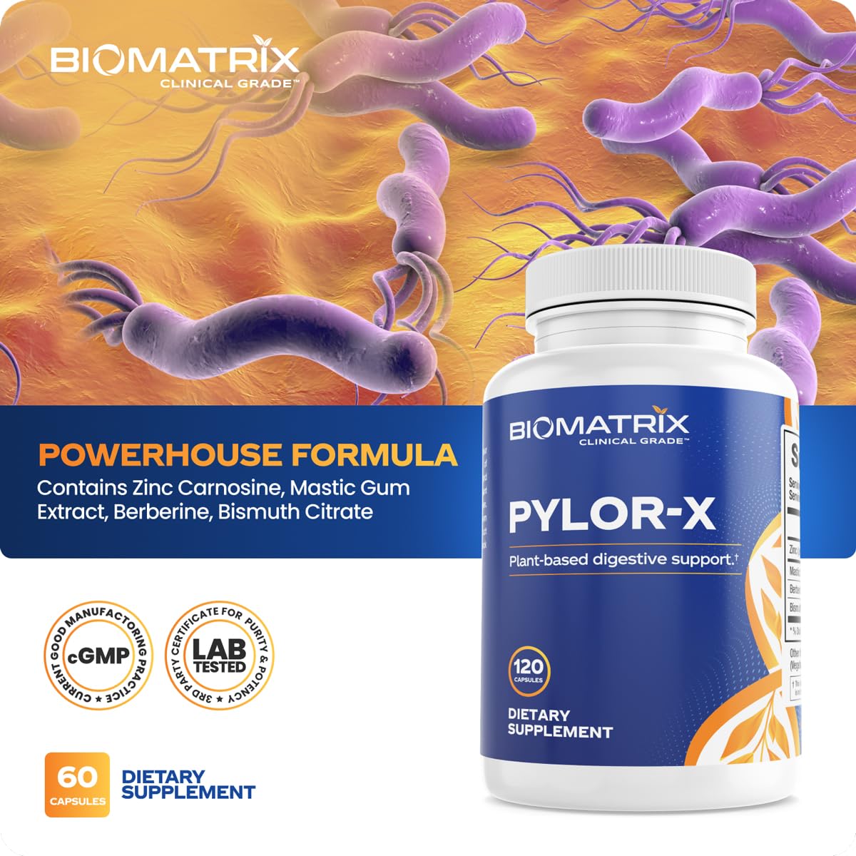 BioMatrix Pylor-X Gut Health Supplement – Mastic Gum, Berberine, Zinc Carnosine & Bismuth Salts for Gastric Support, Digestive Comfort, Stomach Lining Protection - (120 Capsules) 30-60 Day Supply BioMatrixAu supplements