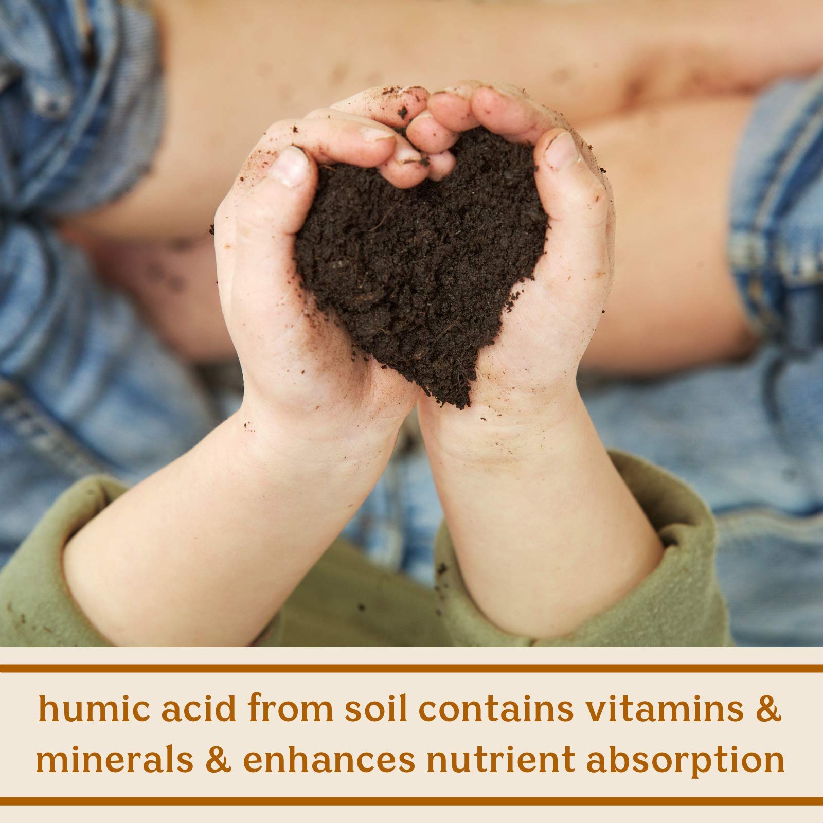 Feel Good SBO Probiotics — Soil Based Organisms (SBOs), Prebiotics, Postbiotics, Humic Acid, Shilajit, Chaga & Turkey Tail Mushroom for Digestion — Solluna by Kimberly Snyder (60CT) Vegan & Non-GMO Solluna by Kimberly SnyderAu supplements