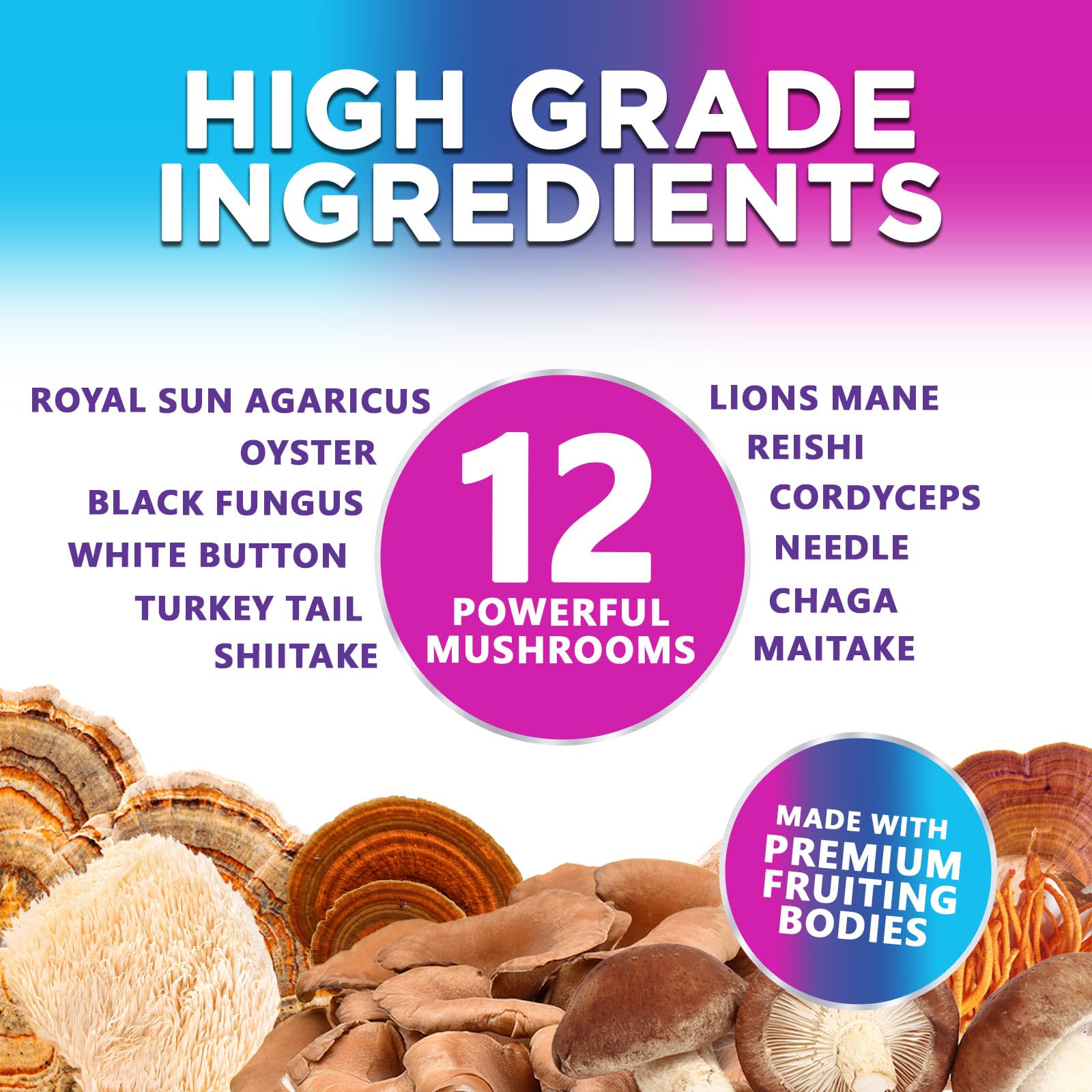 Mushroom Gummies Supplement 12 in 1 - High Grade Blend for Adults with Lions Mane, Reishi, Cordyceps, & Chaga Mushroom Complex Gummy, Memory & Immune Support & Nootropic Brain Supplements - 60 Gummies Nature's NutritionAu supplements