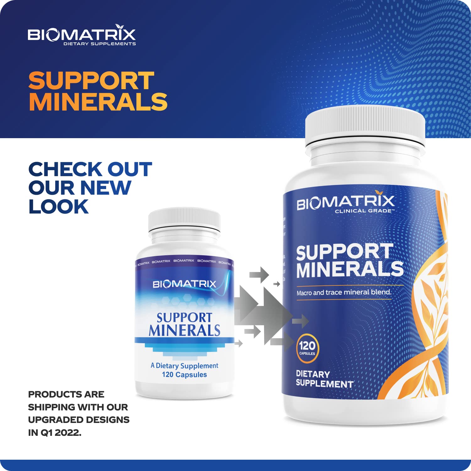 BioMatrix Mineral Supplement for Men and Women, Chelated Minerals | Iron-Free, Calcium, Magnesium, Copper, Zinc, Vitamin D, Iodine | Veggie Caps, 30-Day Supply BioMatrixAu supplements