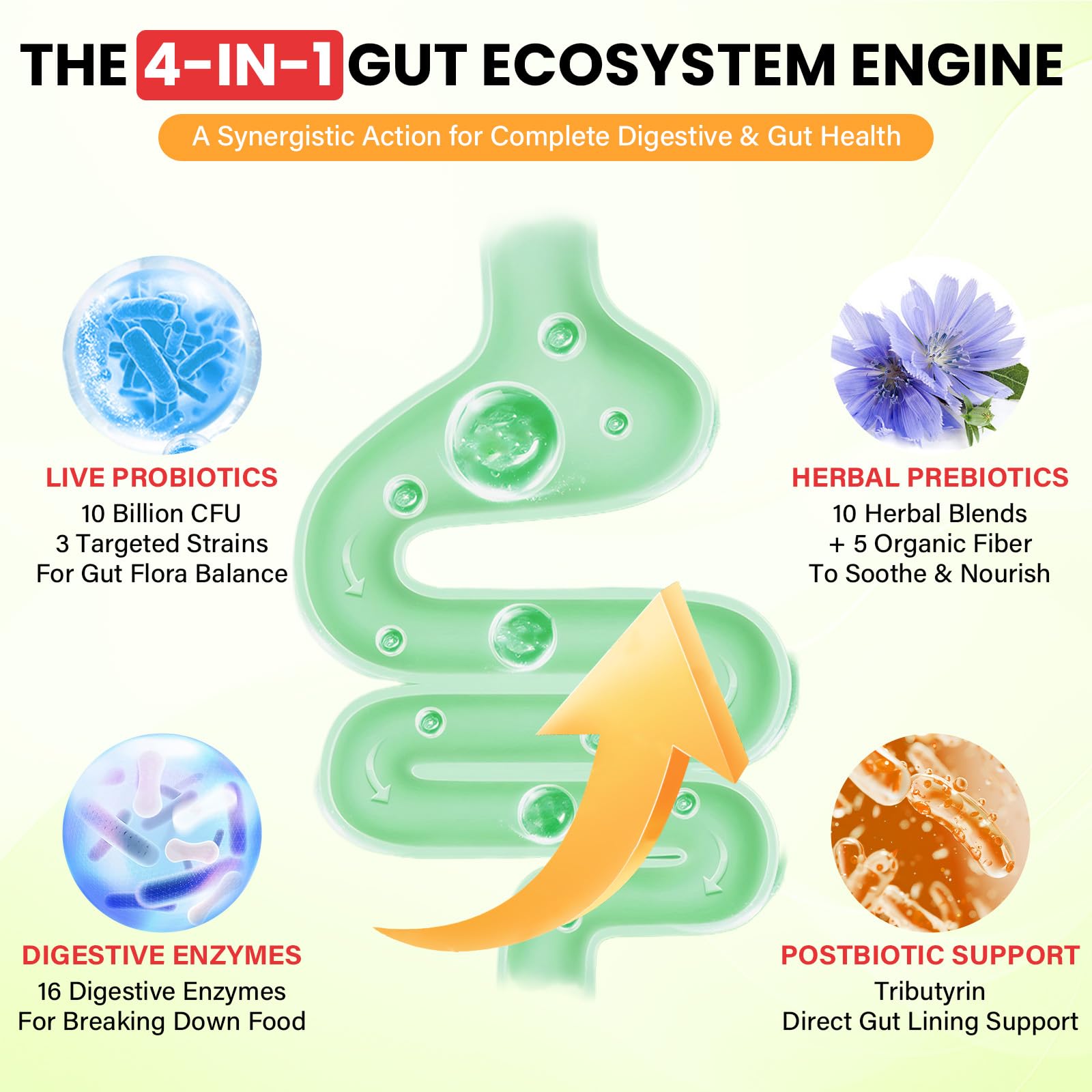 Probiotics for Women and Men, with 15 Prebiotics, 16 Digestive Enzymes & Postbiotics - Probiotics for Digestive Health & Bloating, Probiotic Gummies for Gut Health & Immunity, Sugar-Free, 60 Gummies FletorraAu supplements