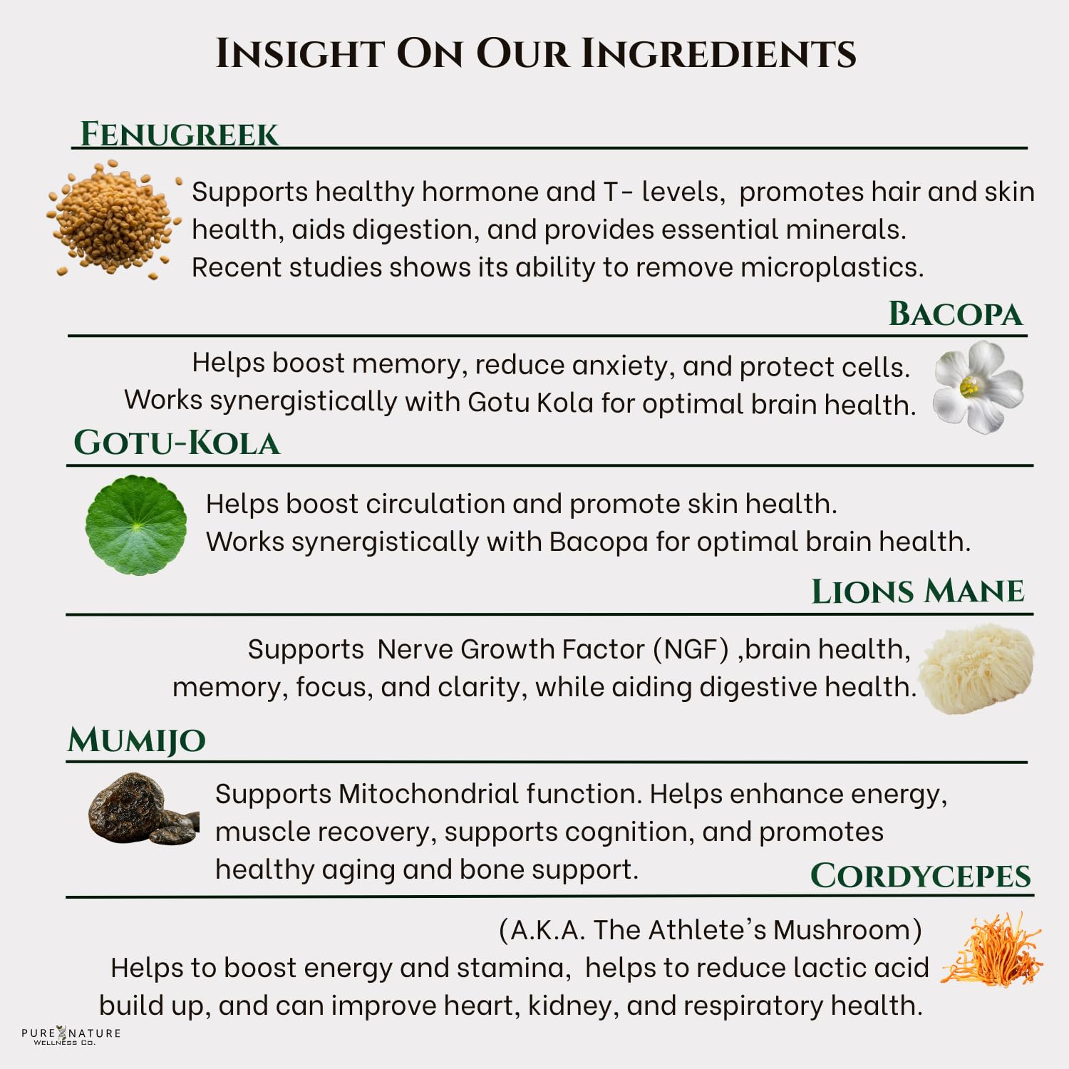 Focus + Energy + Performance Support-6-in-1 Mushroom Nootropic & Mitochondrial Complex-Advanced Brain Supplement-Natural Energy-Caffeine Free Biohack with Lion’s Mane,Cordyceps,Mumijo,Fenugreek Pure Nature Wellness Co.Au supplements