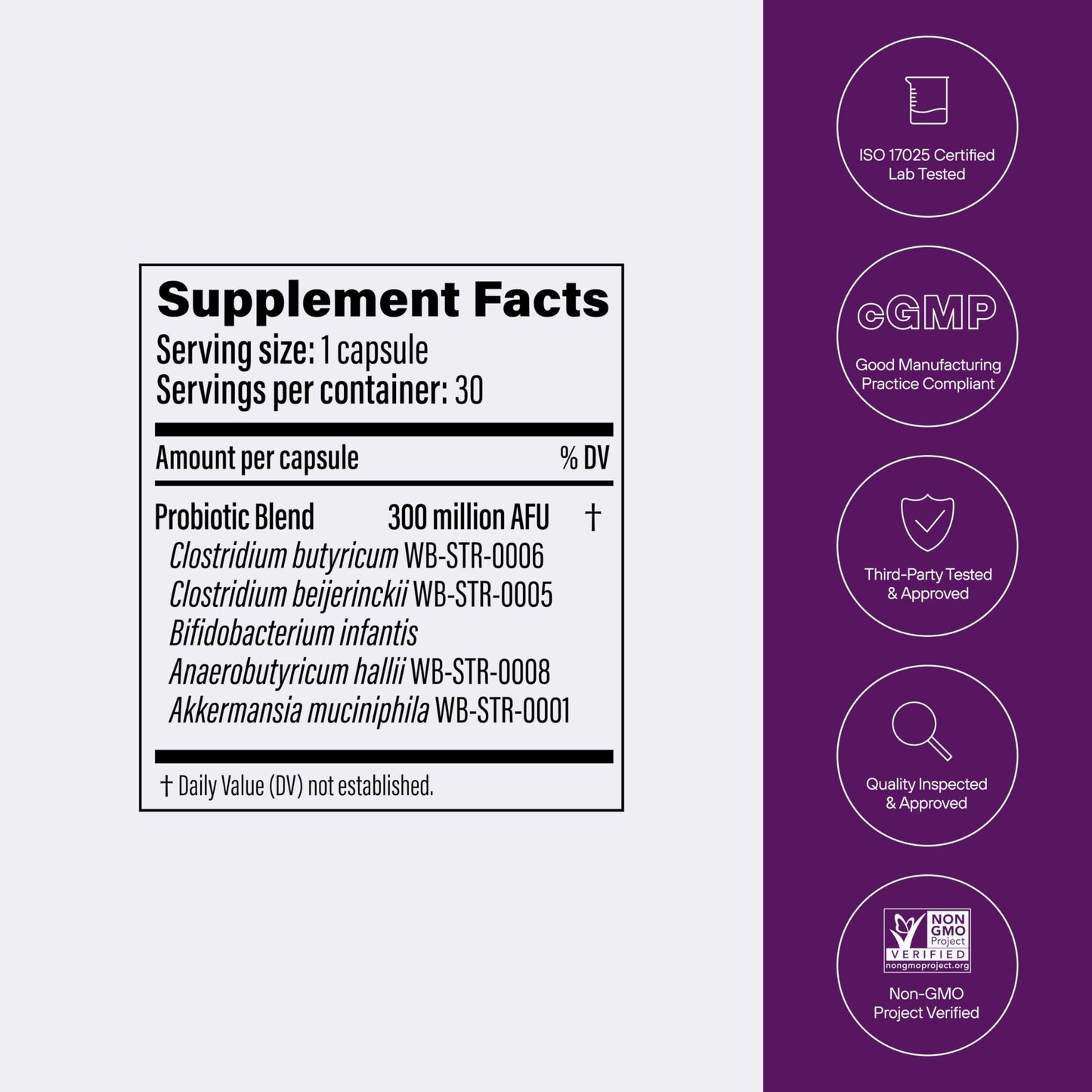 Pendulum Metabolic Daily - Multi-Strain Probiotic with Akkermansia muciniphila to Support Metabolism and Sustain Energy Levels PendulumUS supplements