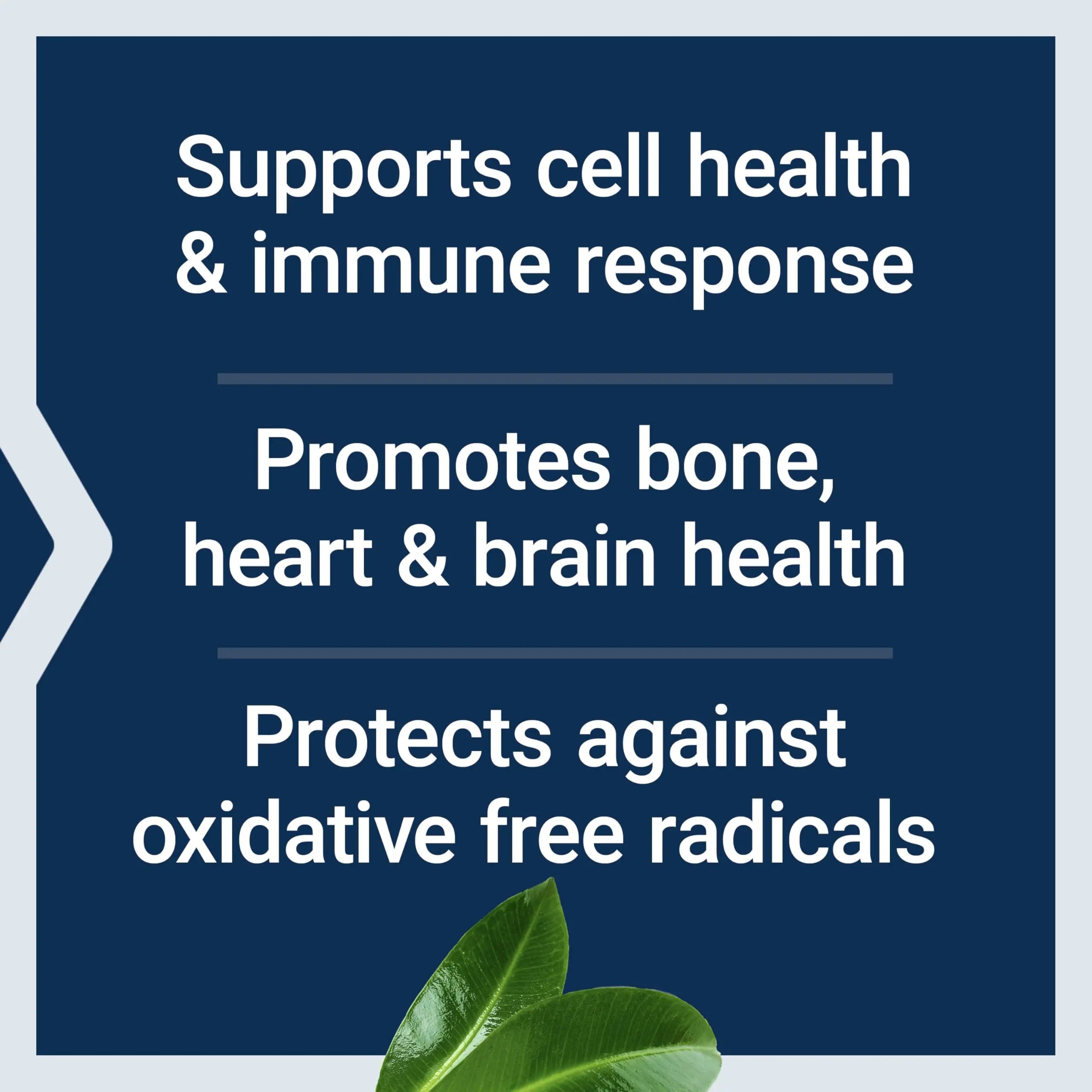 Life Extension Whole Food Multivitamin, Plant-derived Vitamin D3, A, B, C & E, Plus Minerals, Plant extracts, Stay Healthy from Head to Toe Life ExtensionAu supplements