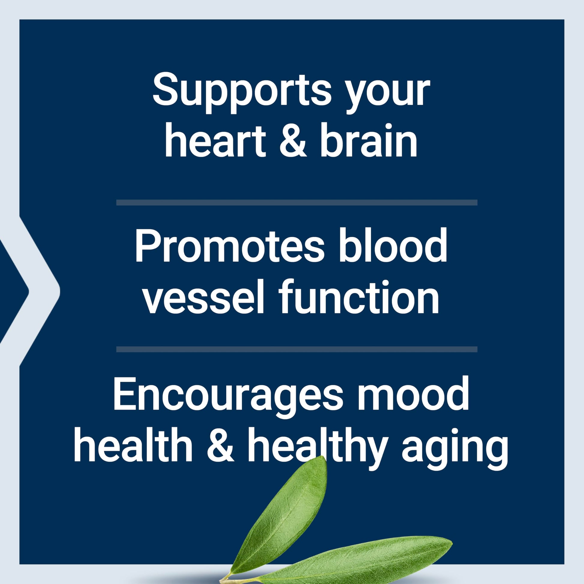 Life Extension Super Omega-3 EPA/DHA Fish Oil, Sesame Lignans & Olive Extract – Heart Health, Brain Health, Inflammation Health Support, Gluten-Free, Enteric-Coated, Non-GMO, 120 Softgels Life ExtensionAu supplements