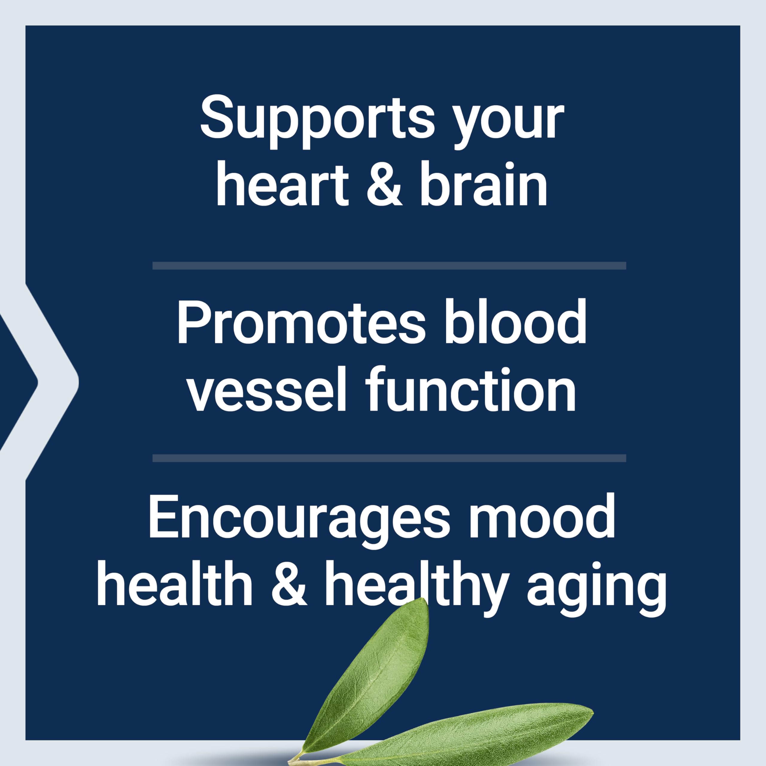 Life Extension Super Omega-3 EPA/DHA Fish Oil, Sesame Lignans & Olive Extract – Heart Health, Brain Health, Inflammation Health Support, Gluten-Free, Enteric-Coated, Non-GMO, 120 Softgels Life ExtensionAu supplements