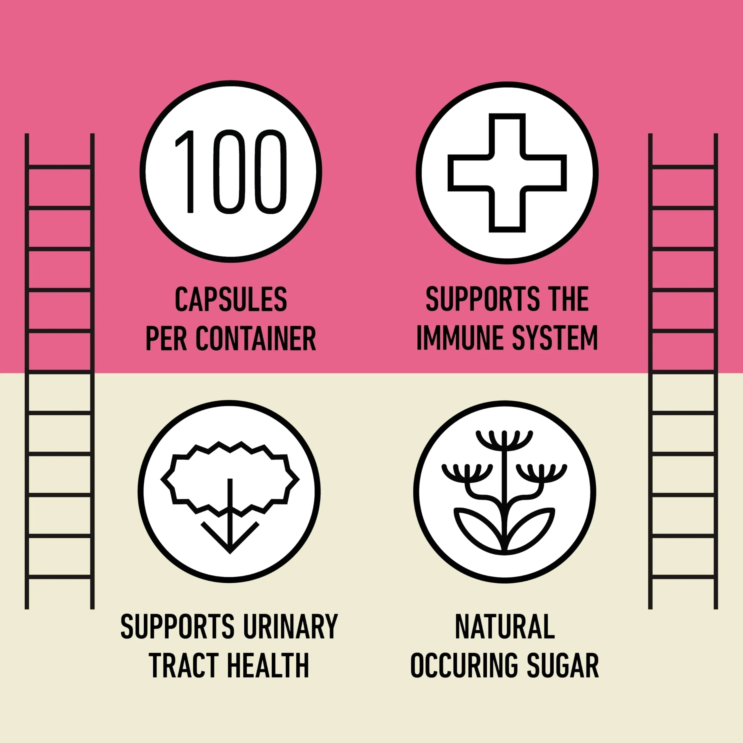 D Mannose 520mg Capsules - Organic D Mannose Supplement for UT Support, Urinary Tract Bladder Health Pills, Plant Based Formula, Vegan Non GMO, No Fillers, 500 Capsule Count Made USA Certified Kosher Complete Natural ProductsAu supplements
