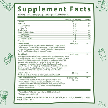 GOBIOTIX Super Greens Powder with Organic Spirulina - Superfood Supplement GOBIOTIXUS supplements