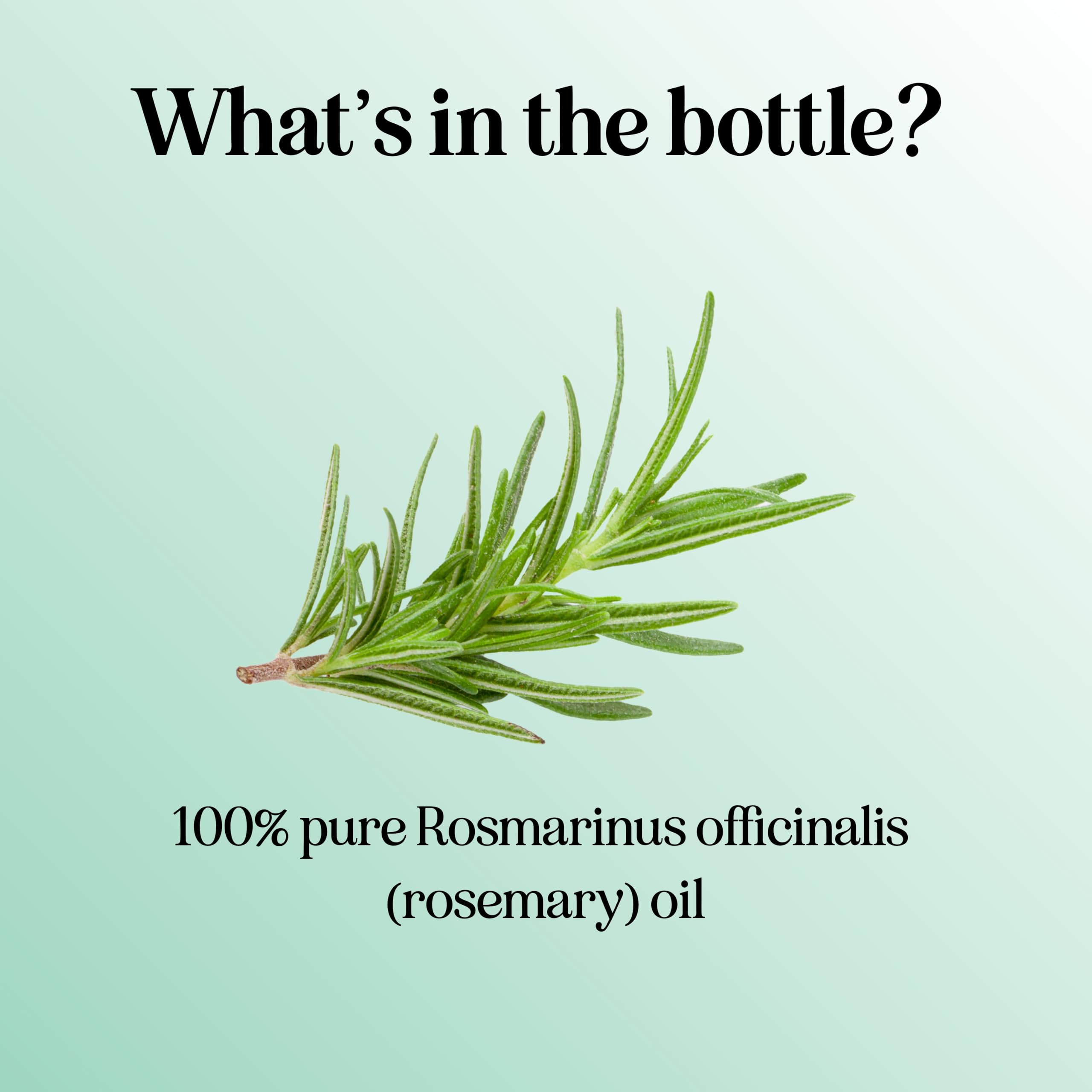Pure Rosemary Essential Oil for Aromatherapy - Pure Rosemary Oil for Hair Skin and Nails Maple HolisticsAu supplements