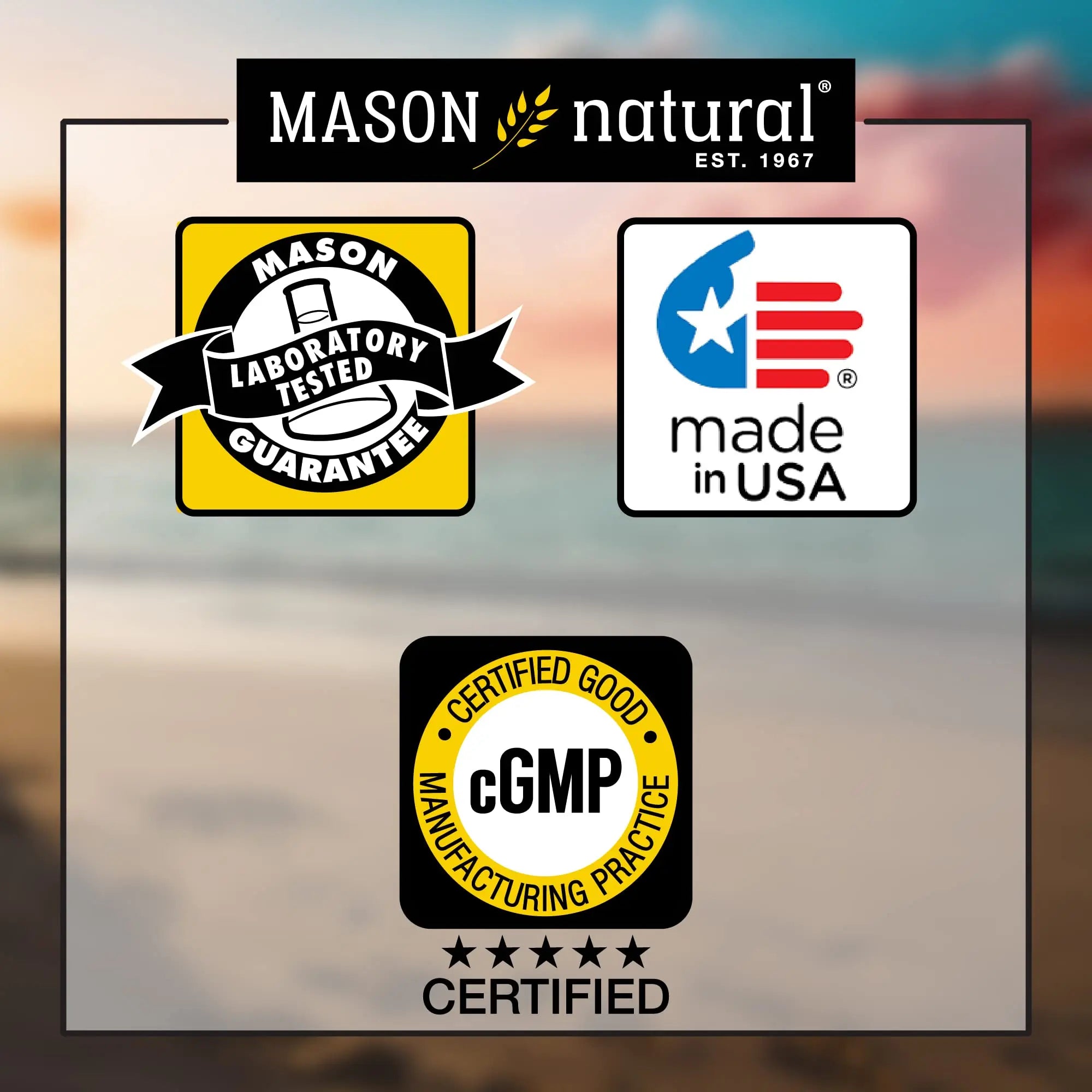 MASON NATURAL, Mens Daily Formula Equivalent to One a Day Mens Brand Tablets - 100 ea MASON NATURALAu supplements