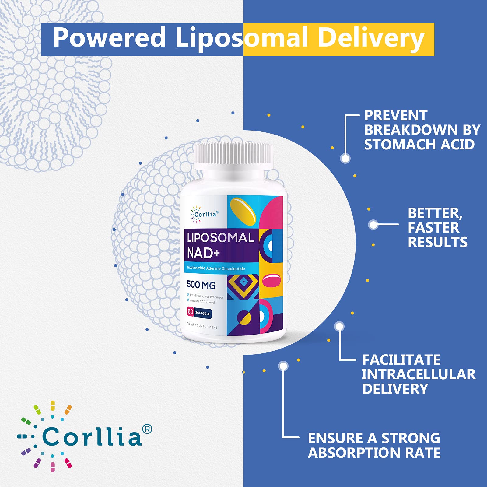 Liposomal NAD+ 500mg with TMG 250mg Softgels, Nicotinamide Riboside Alternative, Actual NAD+ Supplement, 120 Servings CorlliaAu supplements