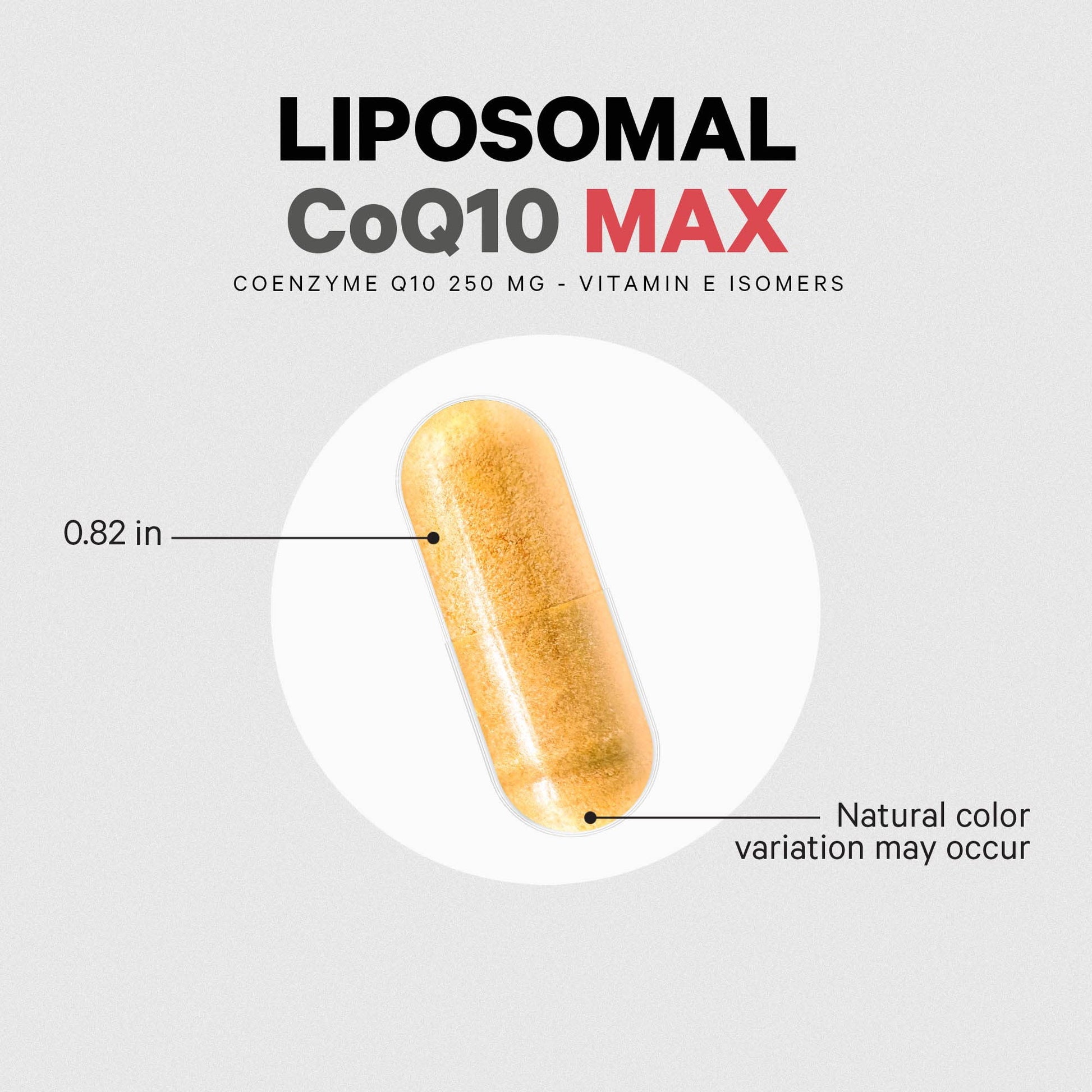 Codeage Liposomal CoQ10 Max Supplement - 250 mg Coenzyme Q10 with Vitamin E Isomers Tocopherols - 2-Month Supply - 1 Capsule Per Serving - Liposomal Delivery - Non-GMO, Gluten-Free - 60 Capsules CodeageAu supplements
