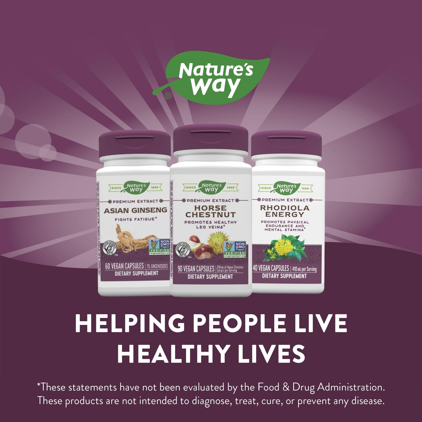 Nature's Way Standardized Horse Chestnut, Premium Extract for Healthy Veins and Blood Nature's WayUS supplements