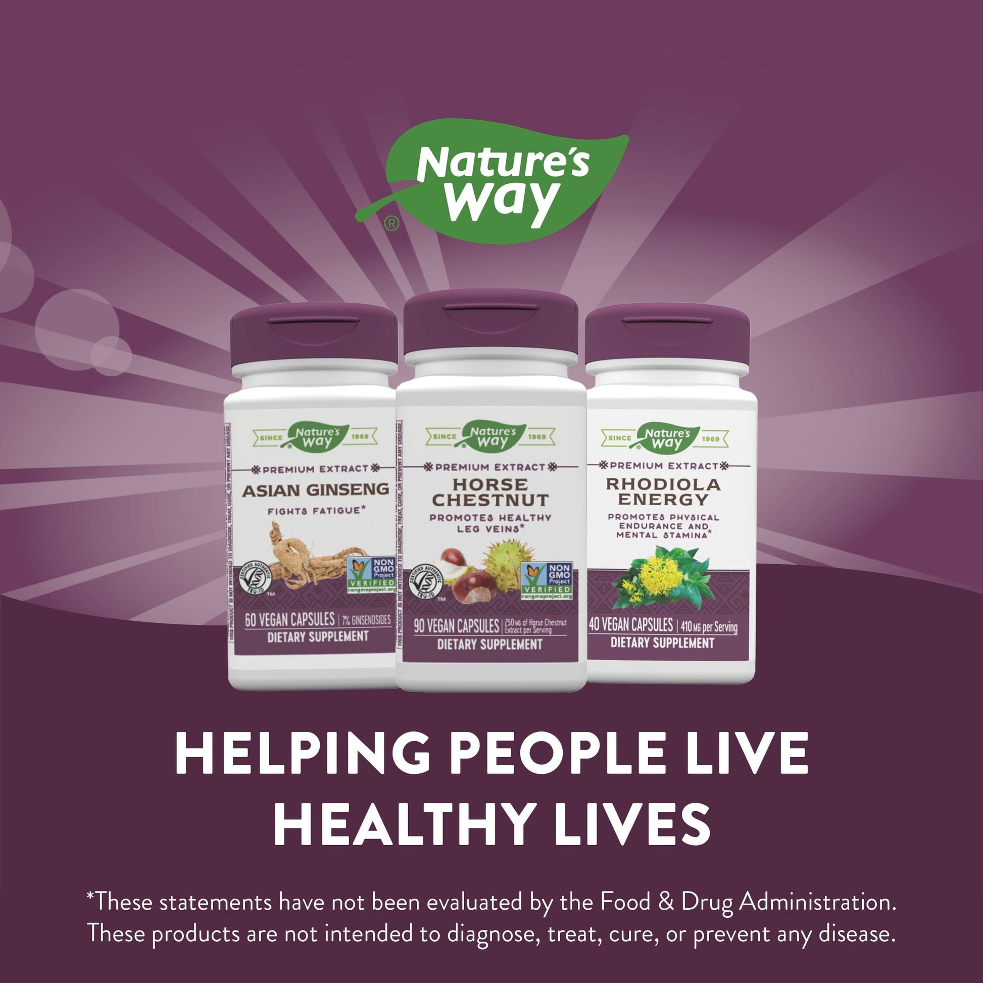 Nature's Way Standardized Horse Chestnut, Premium Extract for Healthy Veins and Blood Nature's WayUS supplements