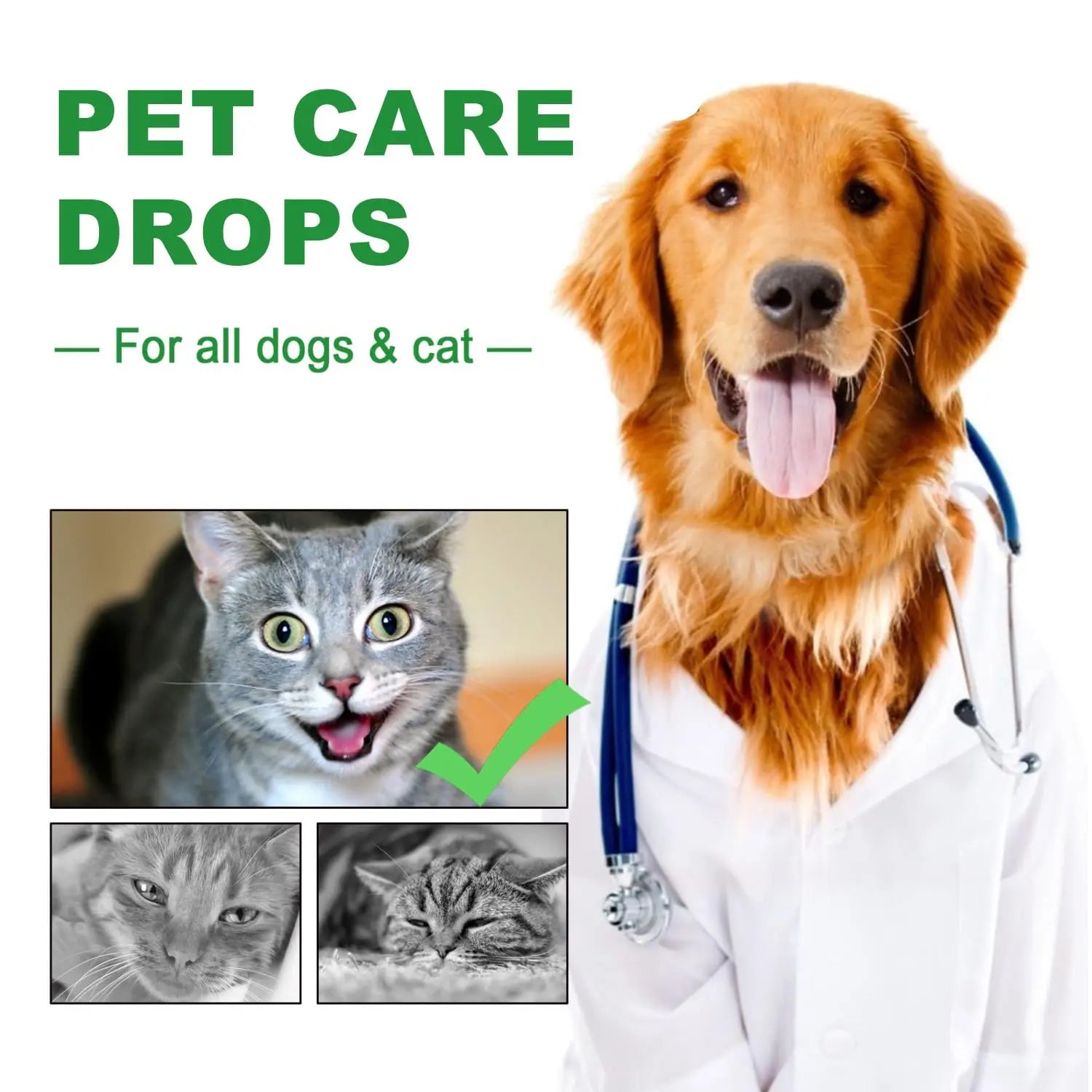 Urinary Tract for Cats, Cat & Dog Urinary Tract Drops Infection Remedy with Cranberry Dog Supplements, Cranberry Kidney Bladder Support Supplement - 60ml / 2 Fl.oz JoanofArcAu supplements