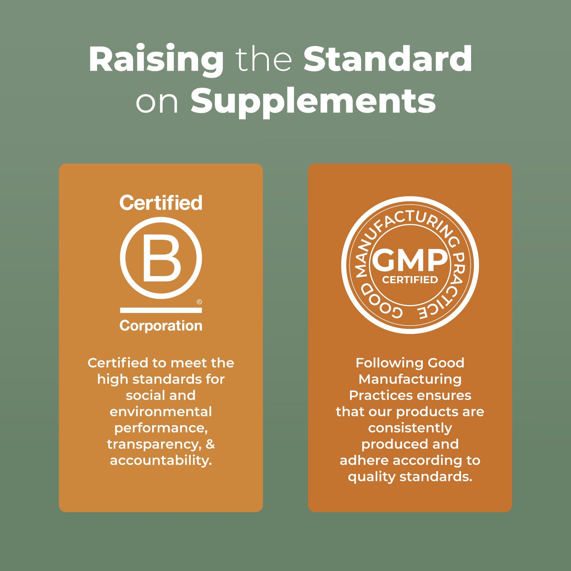 MaryRuth Organics Reishi Vegan Mushroom Supplement | Ultra Absorption Liposomal | Immune Support with 200mg Beta-Glucans, Vegan |Full Spectrum Reishi Mushrooms Fruiting Body | 7.6 oz, MARYRUTH'SUS supplements
