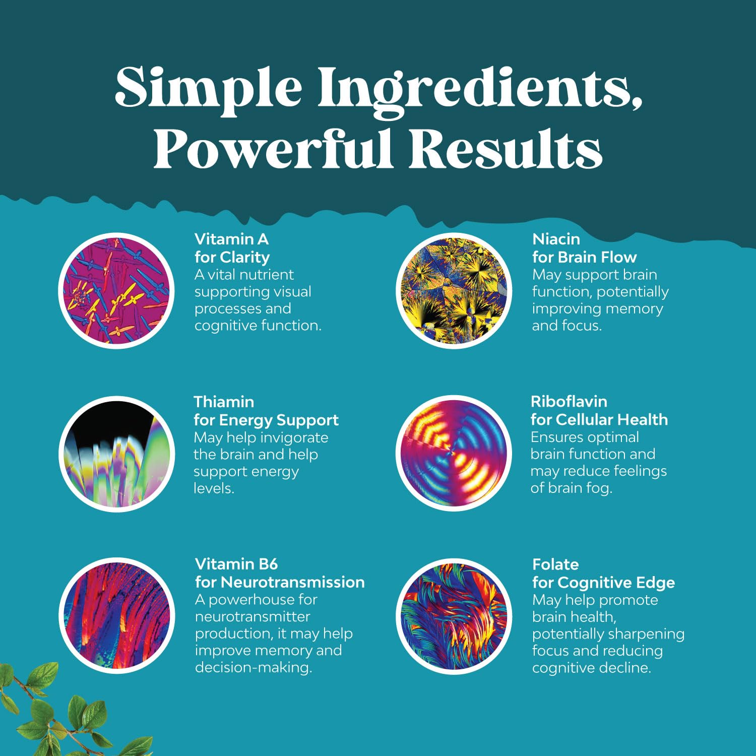 Nootropic Brain Supplement for Memory and Focus Enhancement - Vitamins for Mental Health & Clarity with VIT A, B6, Riboflavin, Niacin, Thiamin & Folate - Cognitive Complex for Mind Vitality - 60 Ct Natures CraftAu supplements