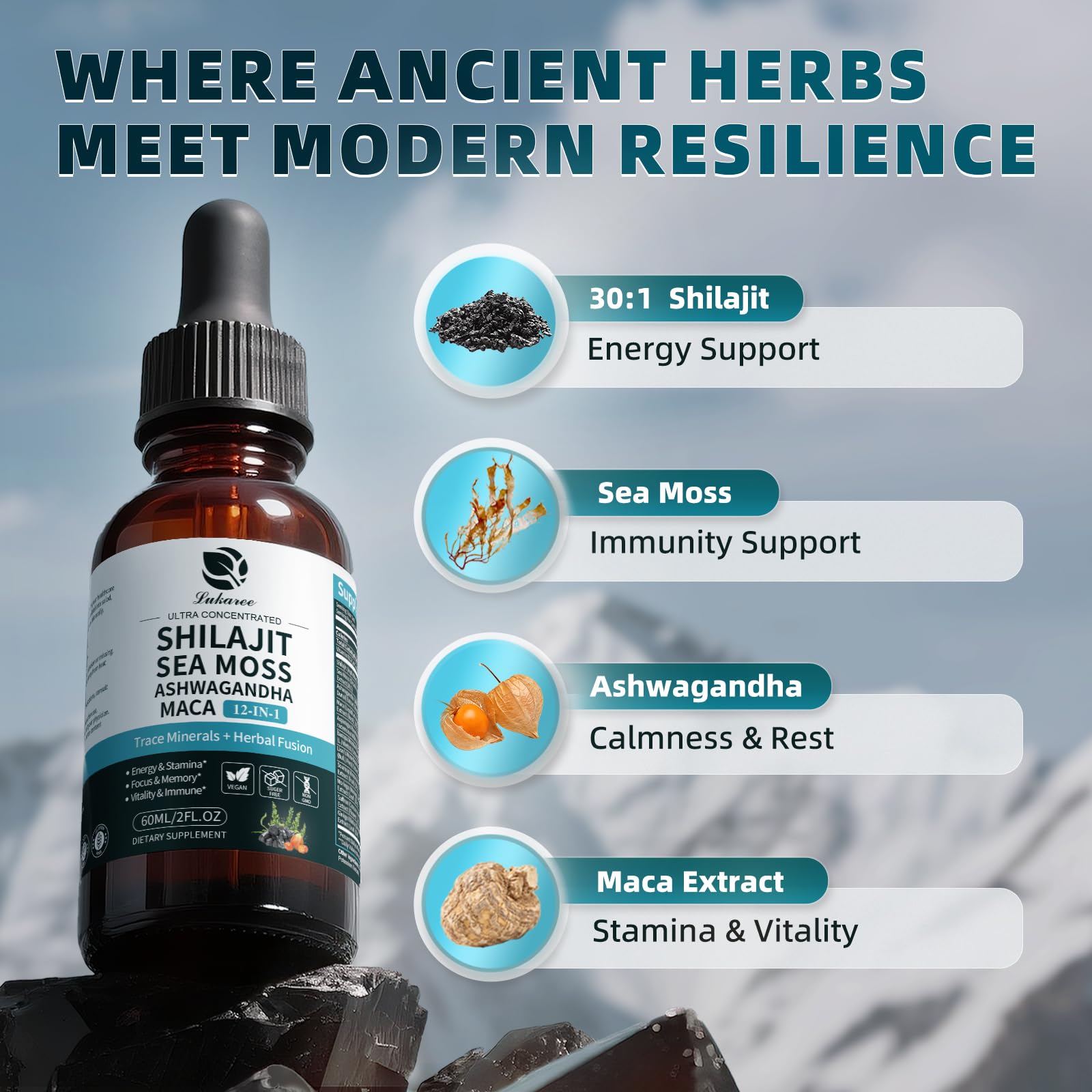 Shilajit Liquid Drops, 12-in-1 Complex - Sea Moss, Ashwagandha, Maca, Fulvic Acid, Trace Minerals, Liquid Vitamins Supplement for Men and Women, Energy, Antioxidant, Immune Support, 60ML/2 FL Oz LukareeAu supplements