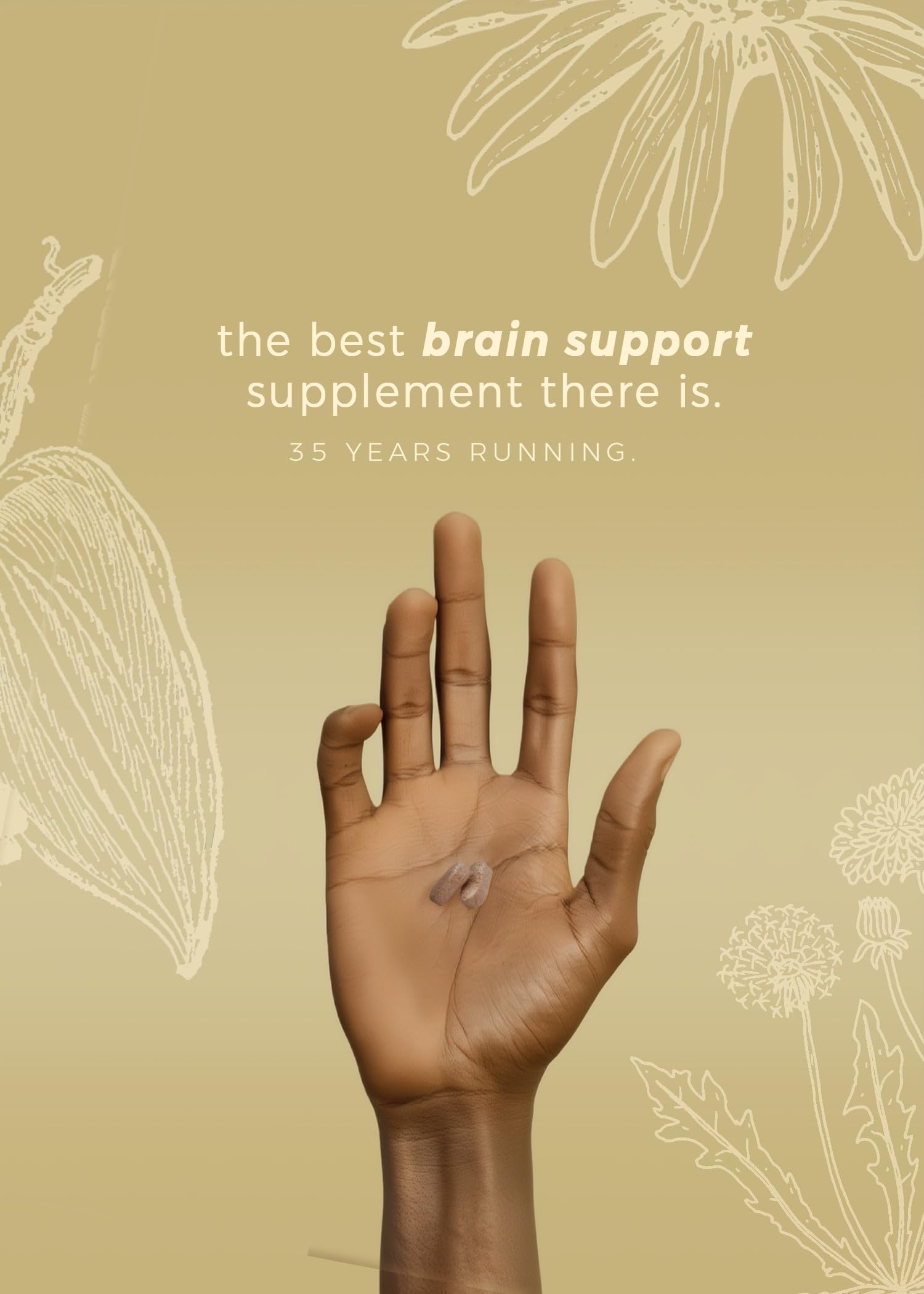 DiamondMIND Brain Support Supplement - Natural Formula for Mental Energy & Cognitive Function - Focus, Clarity, and Memory Supplement - Less Mental Stress - Vegan, Gluten-Free, Dairy-Free - (60 Count) HerpanacineAu supplements