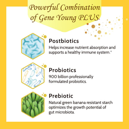 Fecula Biotech Superfood Resistant Starch,Prebiotics Supplement,Bifidobacterium longum Fecula BiotechUS supplements