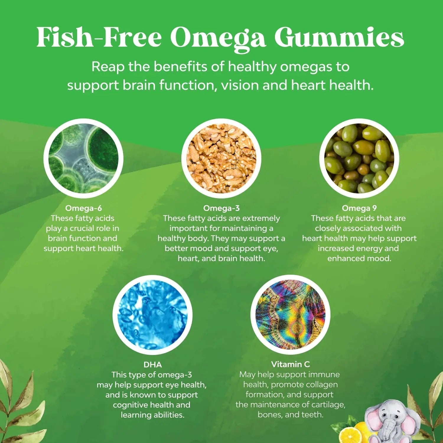 Bundle of Plant Based Kids Multivitamin Gummies with Vitamins A C D3 E B Zinc and DHA Omega 3 Gummies with Vegetarian 6 9 for Vision Brain Immunity Support Natures CraftAu supplements