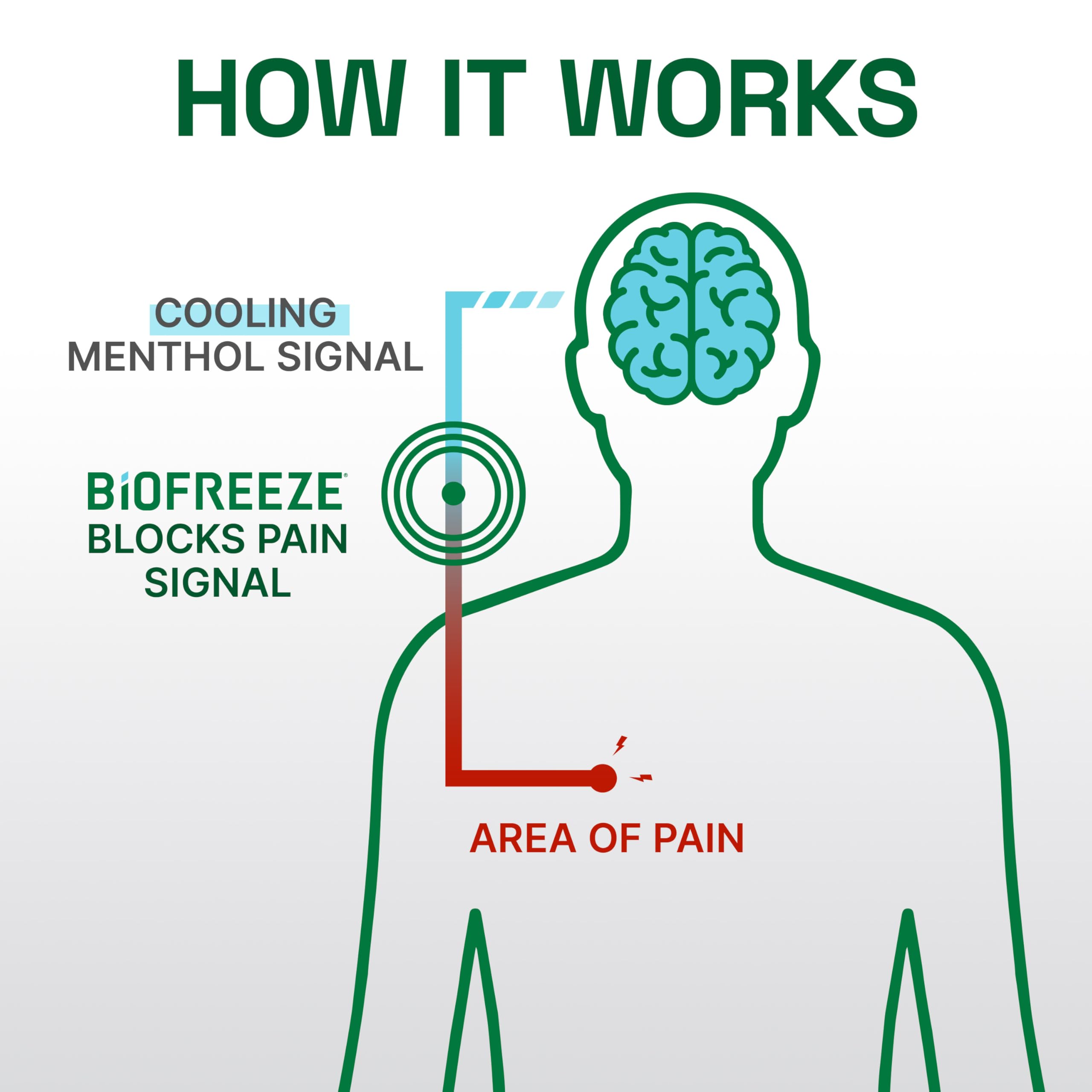 Biofreeze Professional Colorless Pain Relief Roll On, Knee & Simple Backache Relief, Arthritis Pain Reliever, Neck Pain Relief, Cooling Joint Pain Relief, Roll-On Menthol Gel 3 Fl Oz BiofreezeAu supplements