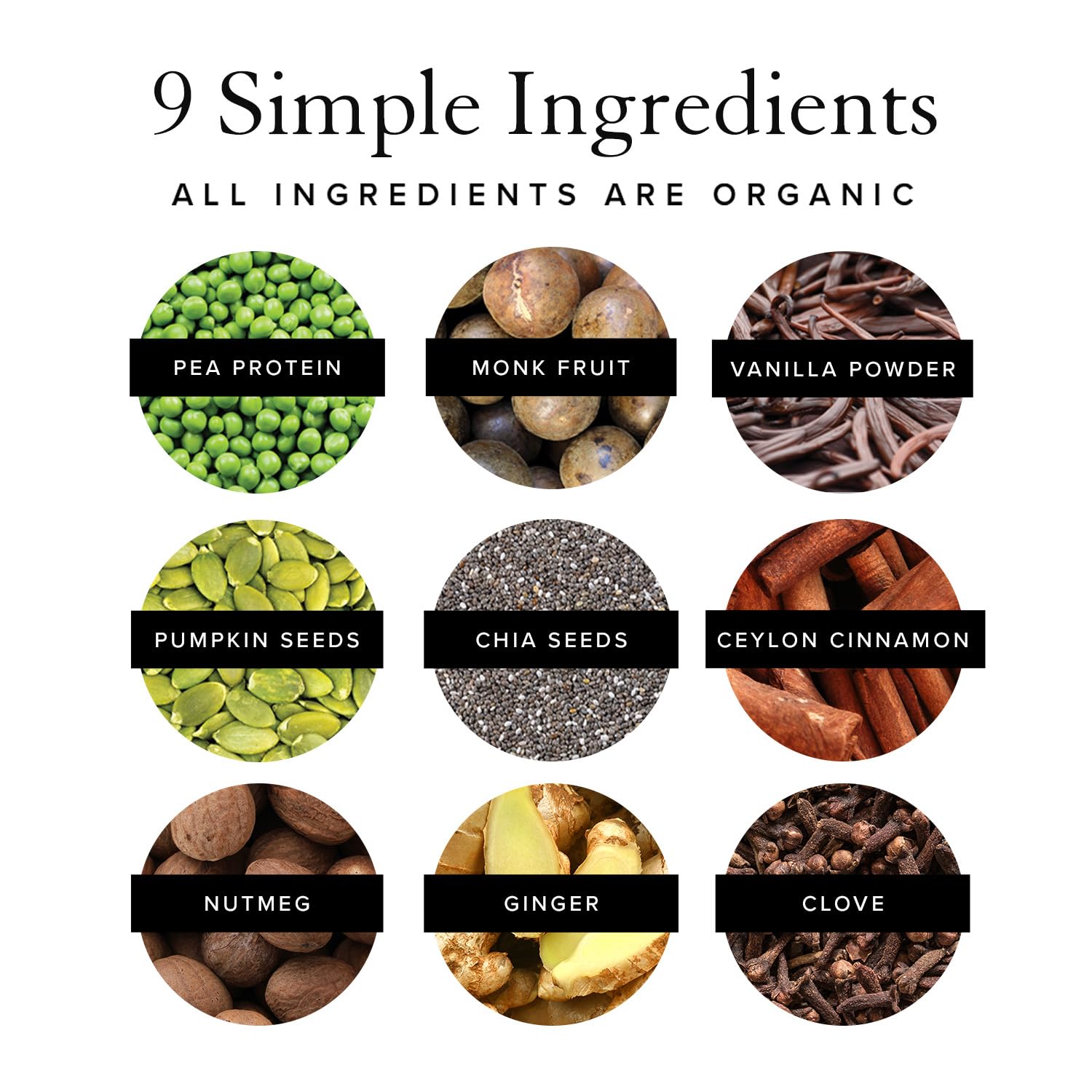 Truvani Organic Vegan Protein Powder Pumpkin Spice - 20g of Plant Based Protein TruvaniUS supplements
