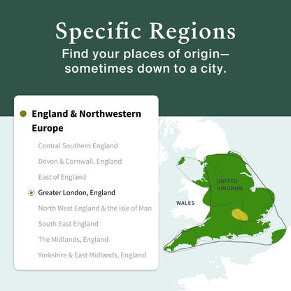 AncestryDNA Genetic Test Kit: Personalized Genetic Results, DNA Ethnicity Test, Origins AncestryDNAUS supplements