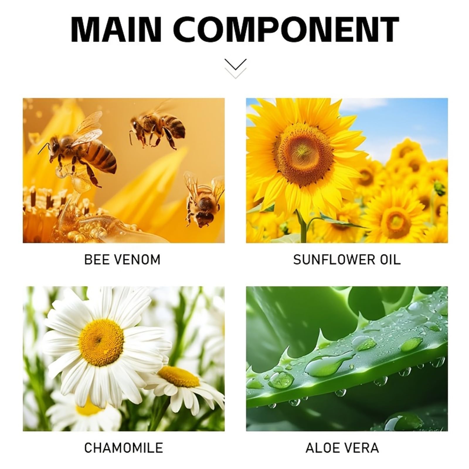 Bee Venom Joint Cream – Advanced Joint Support Cream with Honey & Chamomile, Soothing Formula for Aches & Stiffness in Knees, Hands, Back, Natural Relief Cream for Daily Joint Care (Bee venom) GenericAu supplements