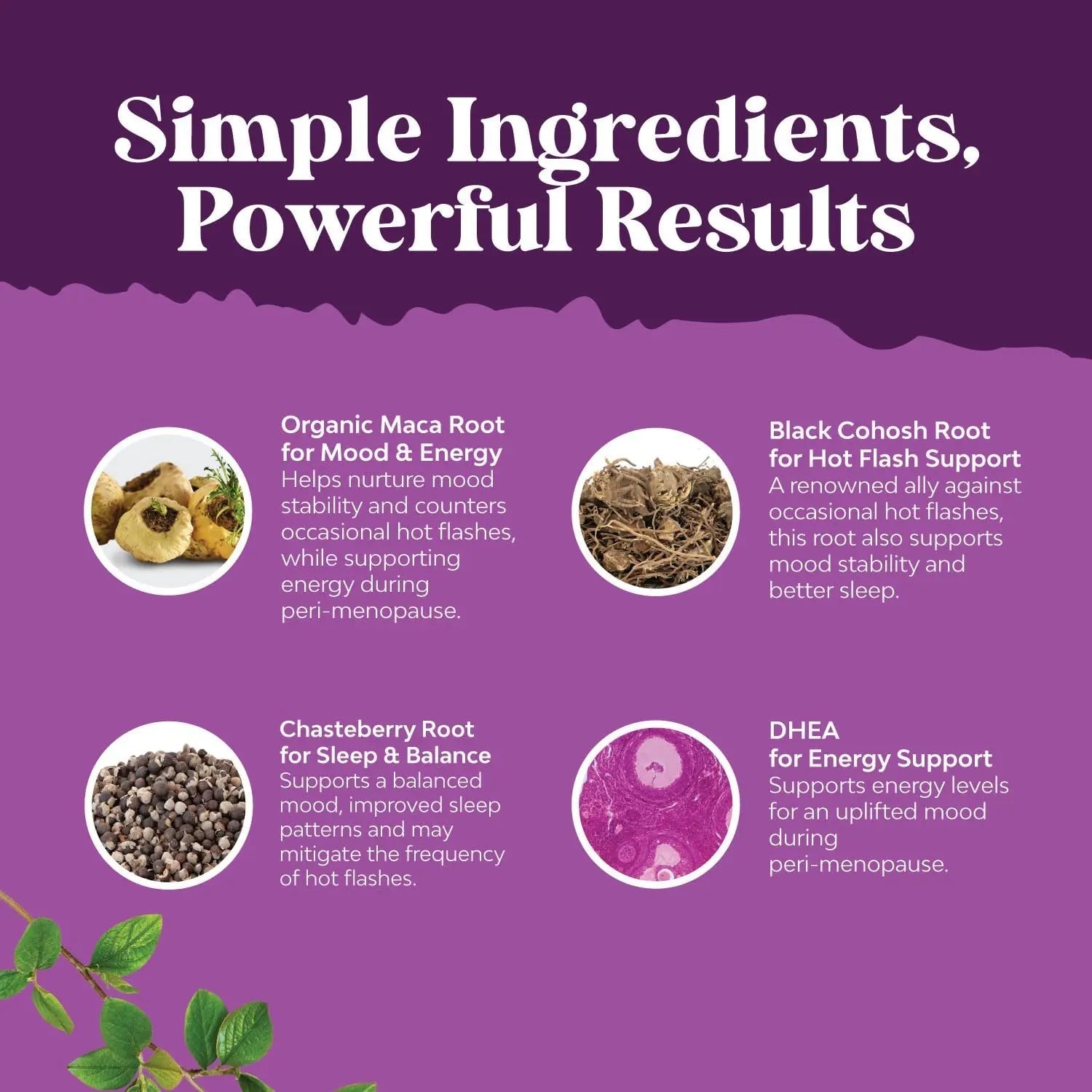 Bundle of Perimenopause Supplement with Maca Root Vitex Berry Black Cohosh for Hot Flashes Night Sweats Hormone Balance Natures CraftAu supplements