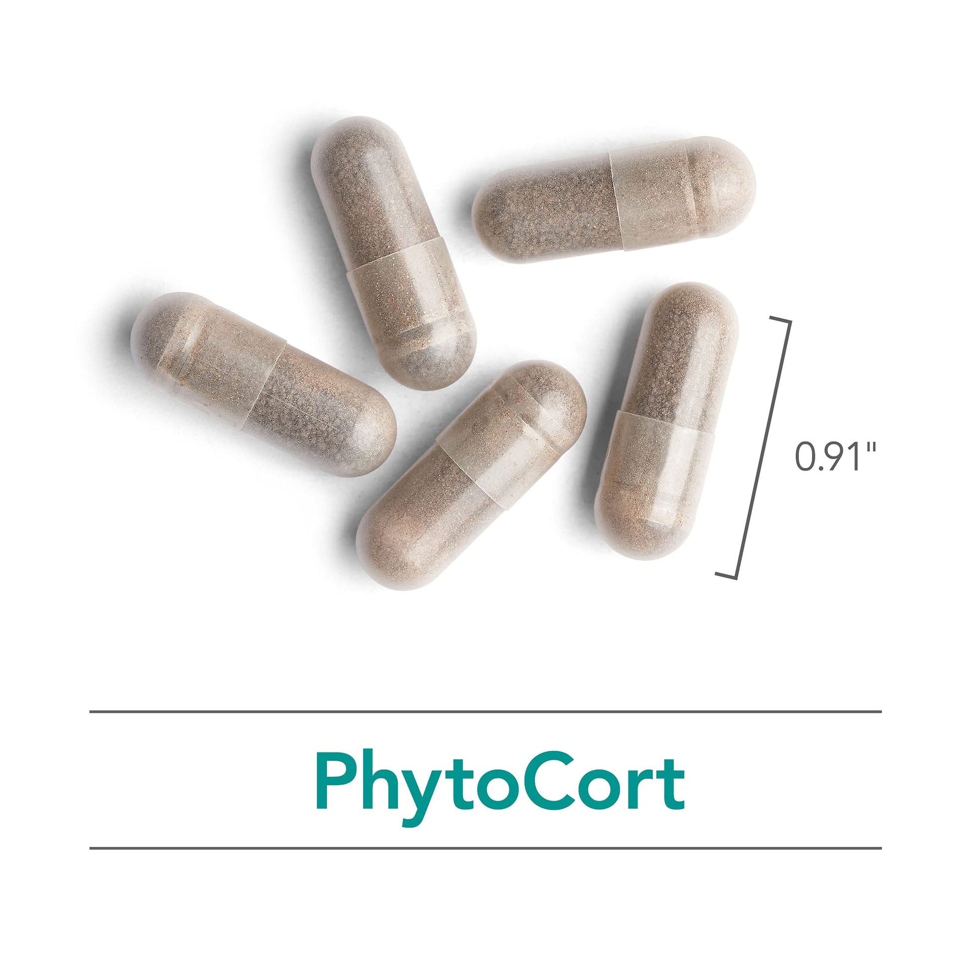 Nutricology PhytoCort Supplement - Respiratory Support, Lung Health, Lung Detox, Lung Cleanse, Healthy Breathing, Herbal Support, Reishi, Licorice, Noni, Vegetarian Capsules - 120 Count NutricologyAu supplements