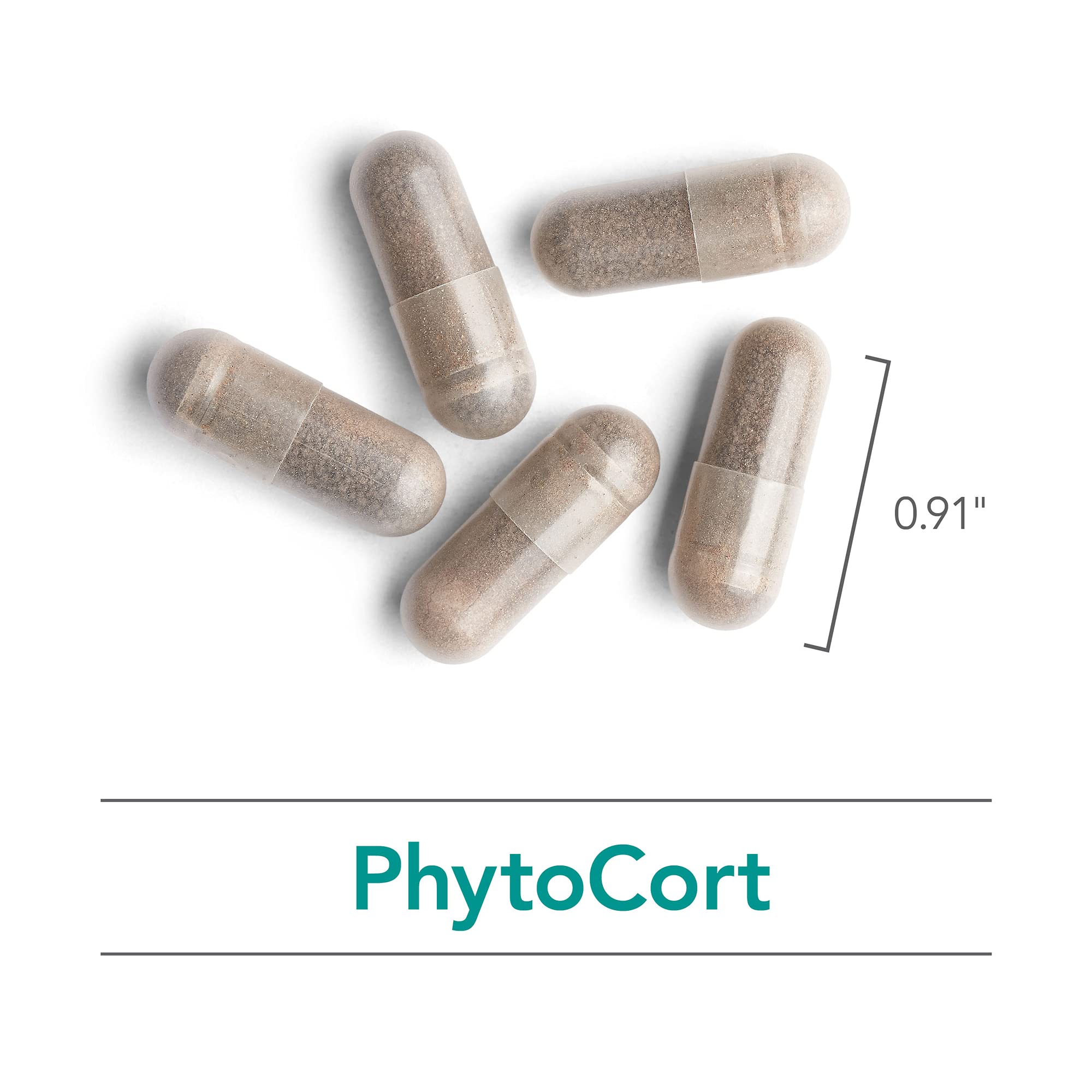 Nutricology PhytoCort Supplement - Respiratory Support, Lung Health, Lung Detox, Lung Cleanse, Healthy Breathing, Herbal Support, Reishi, Licorice, Noni, Vegetarian Capsules - 120 Count NutricologyAu supplements