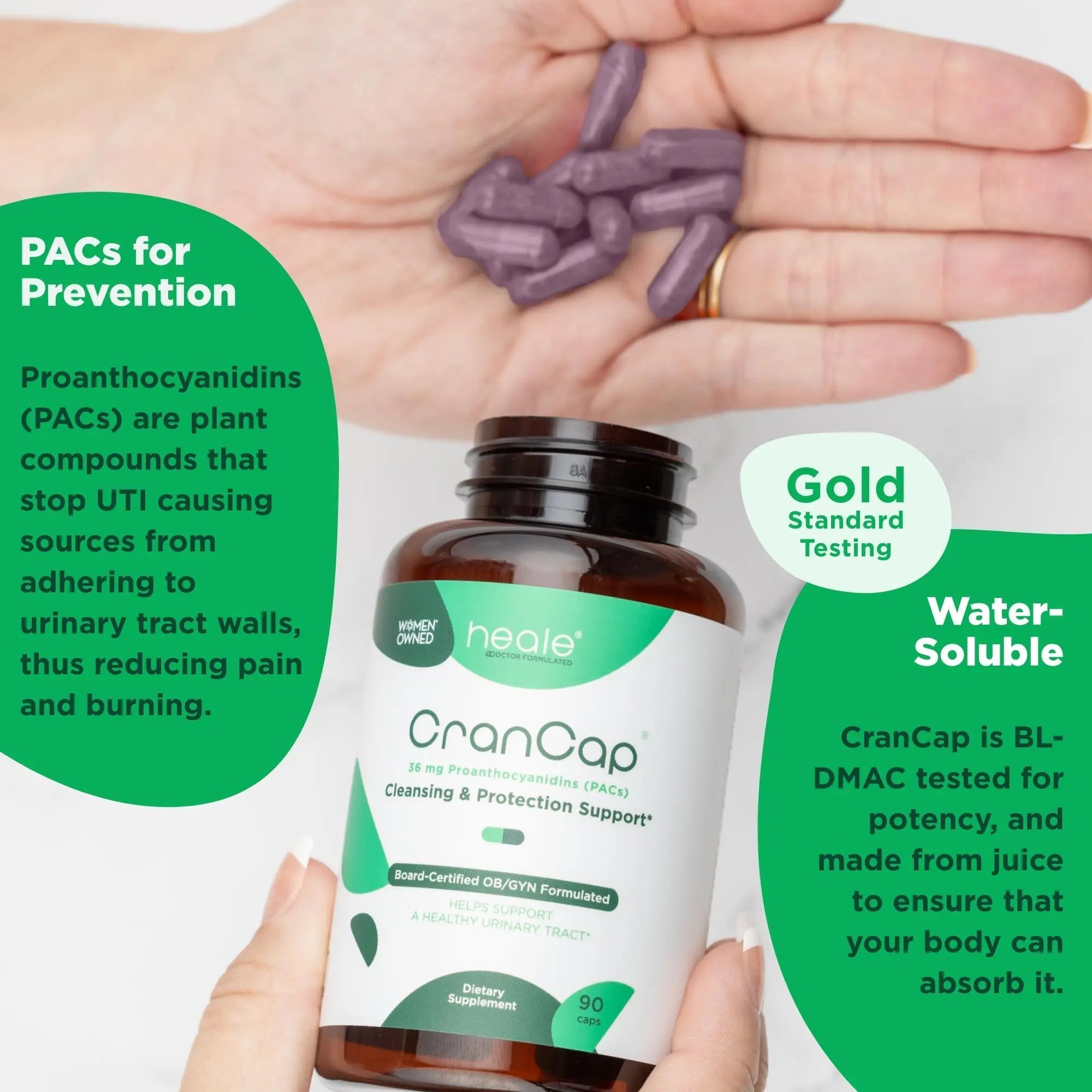 CranCap - Cranberry Pills - Urinary Tract Health Cranberry Supplement - 36mg of Potent PACs - Non GMO, Vegan, Gluten Free - by Heale - 30 Capsules CranCapAu supplements