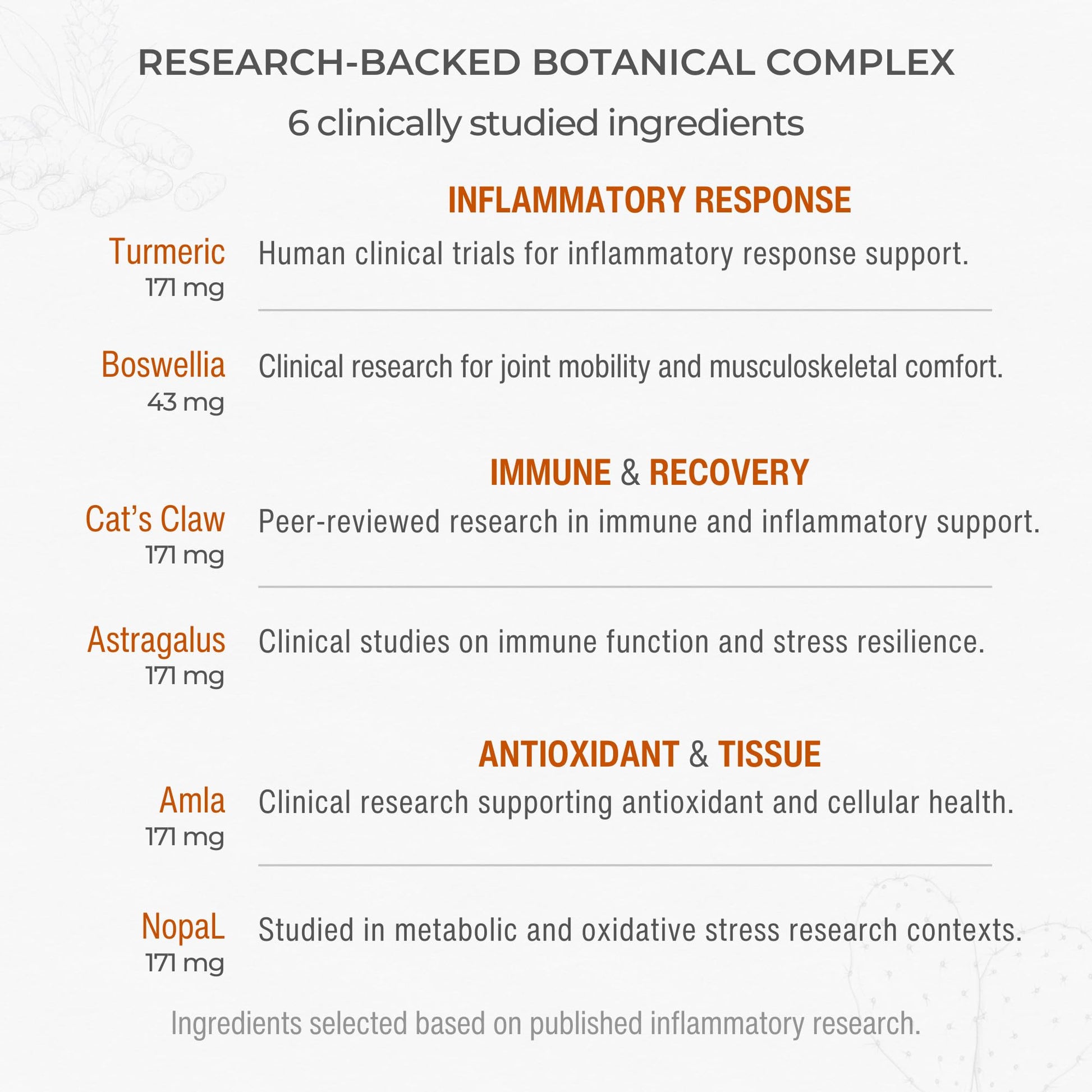 Muscle & Joint Support Supplement – Botanical Formula for Healthy Inflammatory Response | 6 Research-Backed Botanicals | Organic Turmeric | 60 Capsules | Sana Herbal Sana Herbal SciencesAu supplements