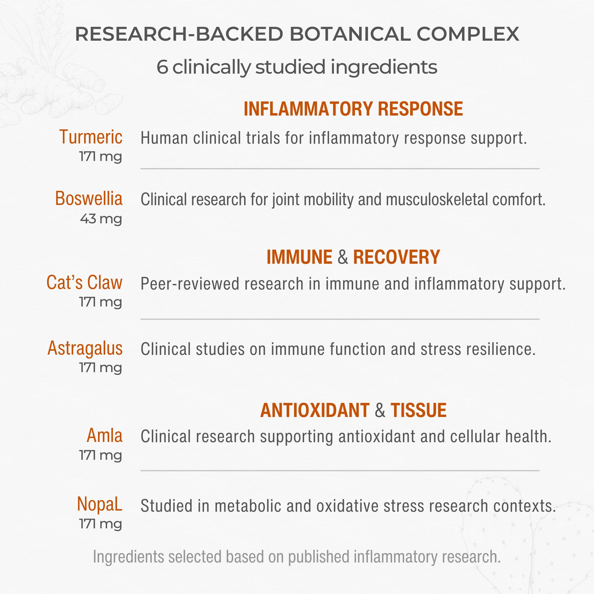 Muscle & Joint Support Supplement – Botanical Formula for Healthy Inflammatory Response | 6 Research-Backed Botanicals | Organic Turmeric | 60 Capsules | Sana Herbal Sana Herbal SciencesAu supplements