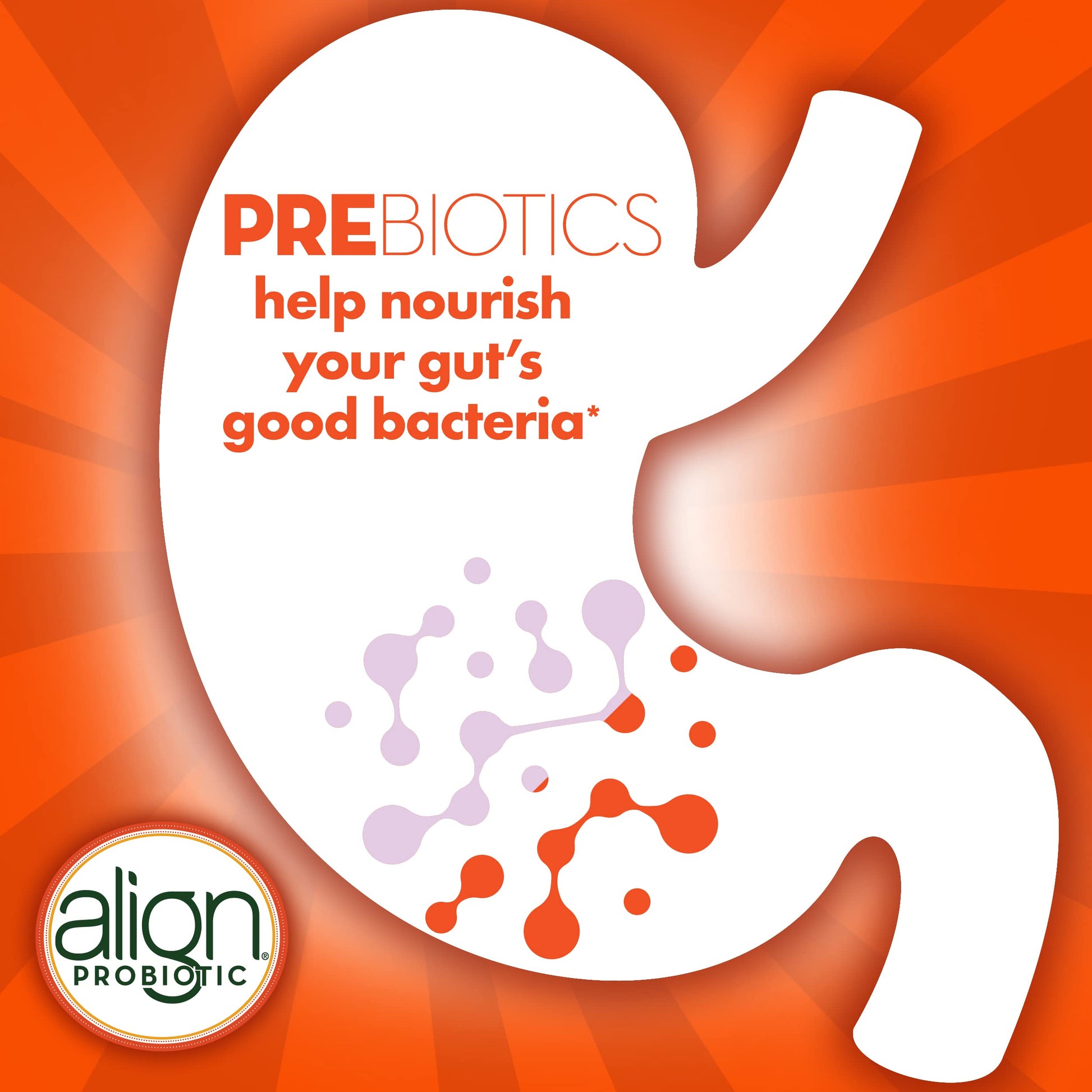 Align Digestive Health Prebiotic + Probiotic Supplement Gummies in Natural Fruit Flavors AlignAu supplements
