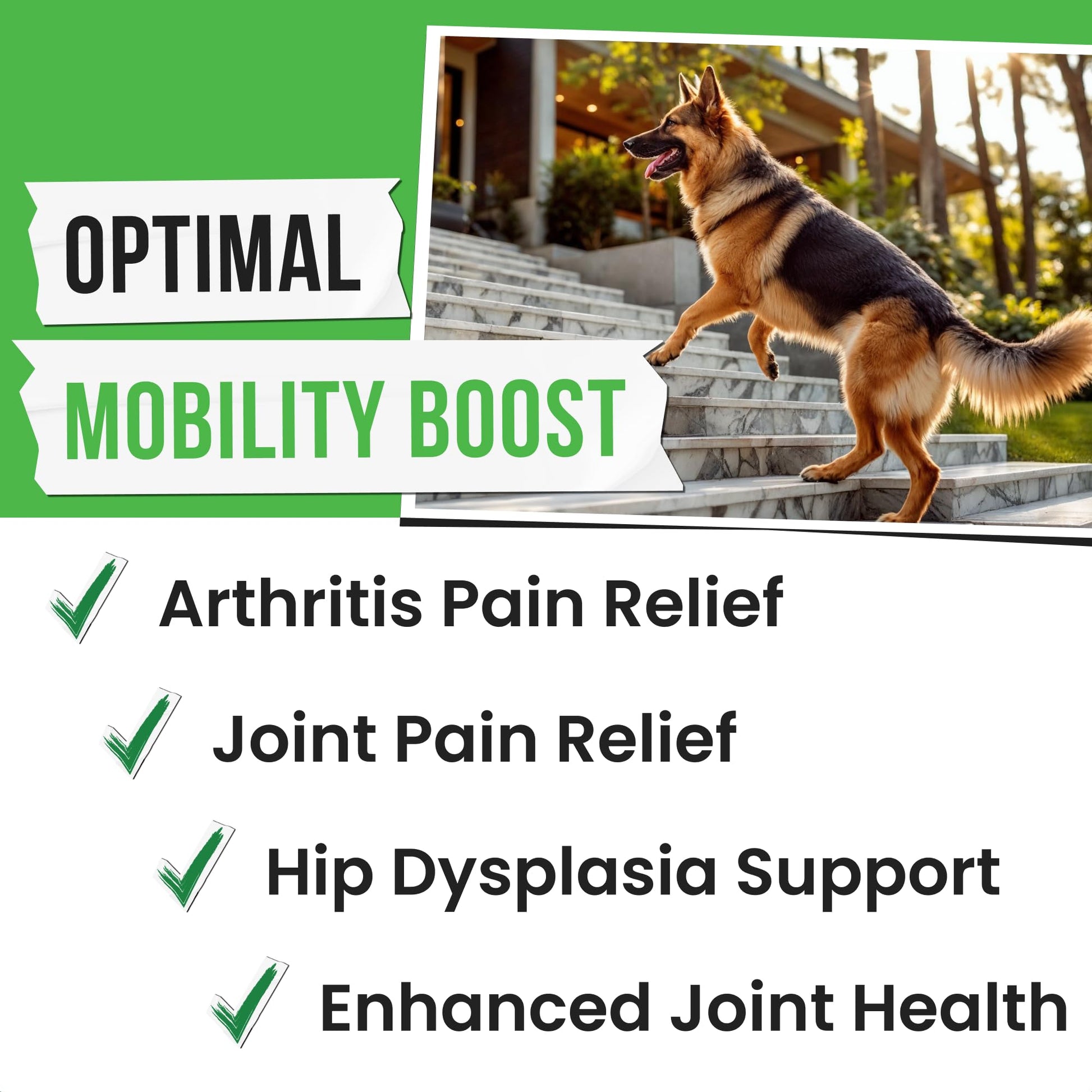 Pawsential Hemp Treats - Dog Joint Supplement - Mobility Support Chews w/Glucosamine Chondroitin, Turmeric, MSM - Hip & Joint Chews - Joint Pain Relief Treats - 120Ct PawsentialAu supplements