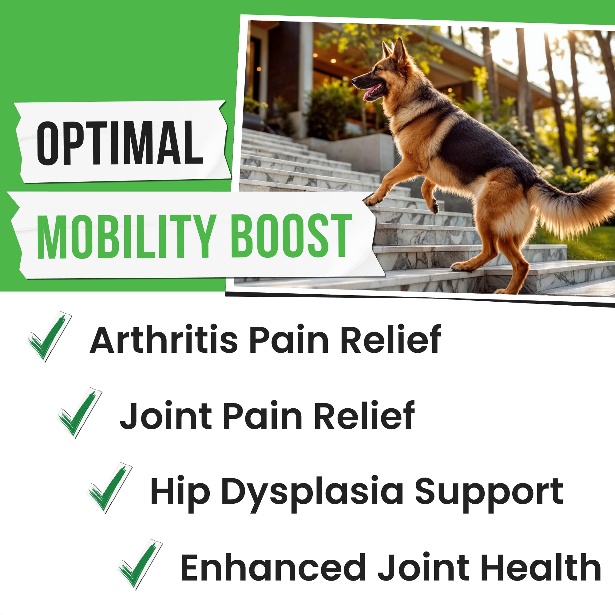 Pawsential Hemp Treats - Dog Joint Supplement - Mobility Support Chews w/Glucosamine Chondroitin, Turmeric, MSM - Hip & Joint Chews - Joint Pain Relief Treats - 120Ct PawsentialAu supplements