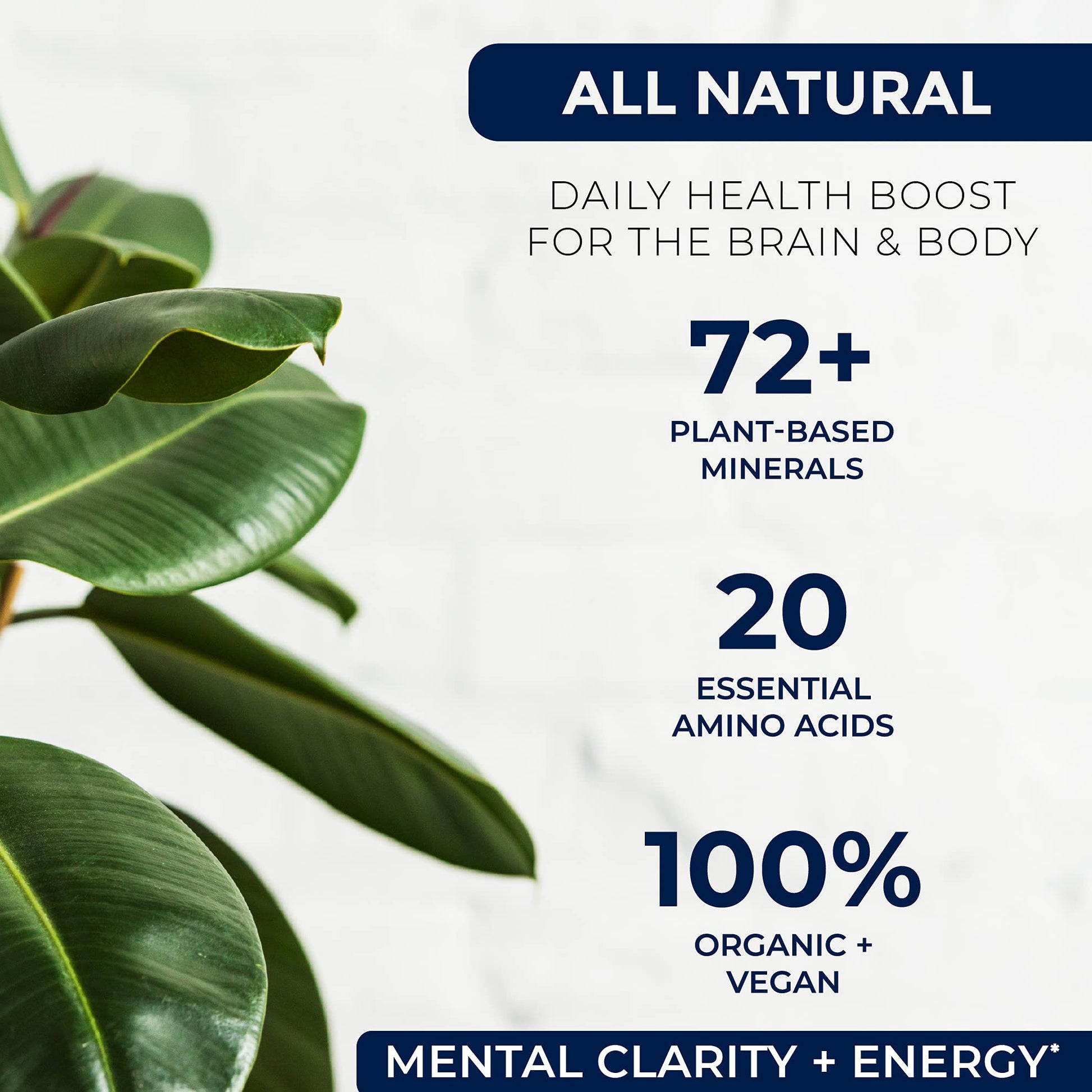 Miracles of Health Liquid Chelated Minerals - Organic Humic Fulvic Mineral Blend - 72+ Plant-Based Minerals, 20 Essential Amino Acids - 100% Natural - 1 Month Supply, 32 fl. oz Miracles of HealthAu supplements