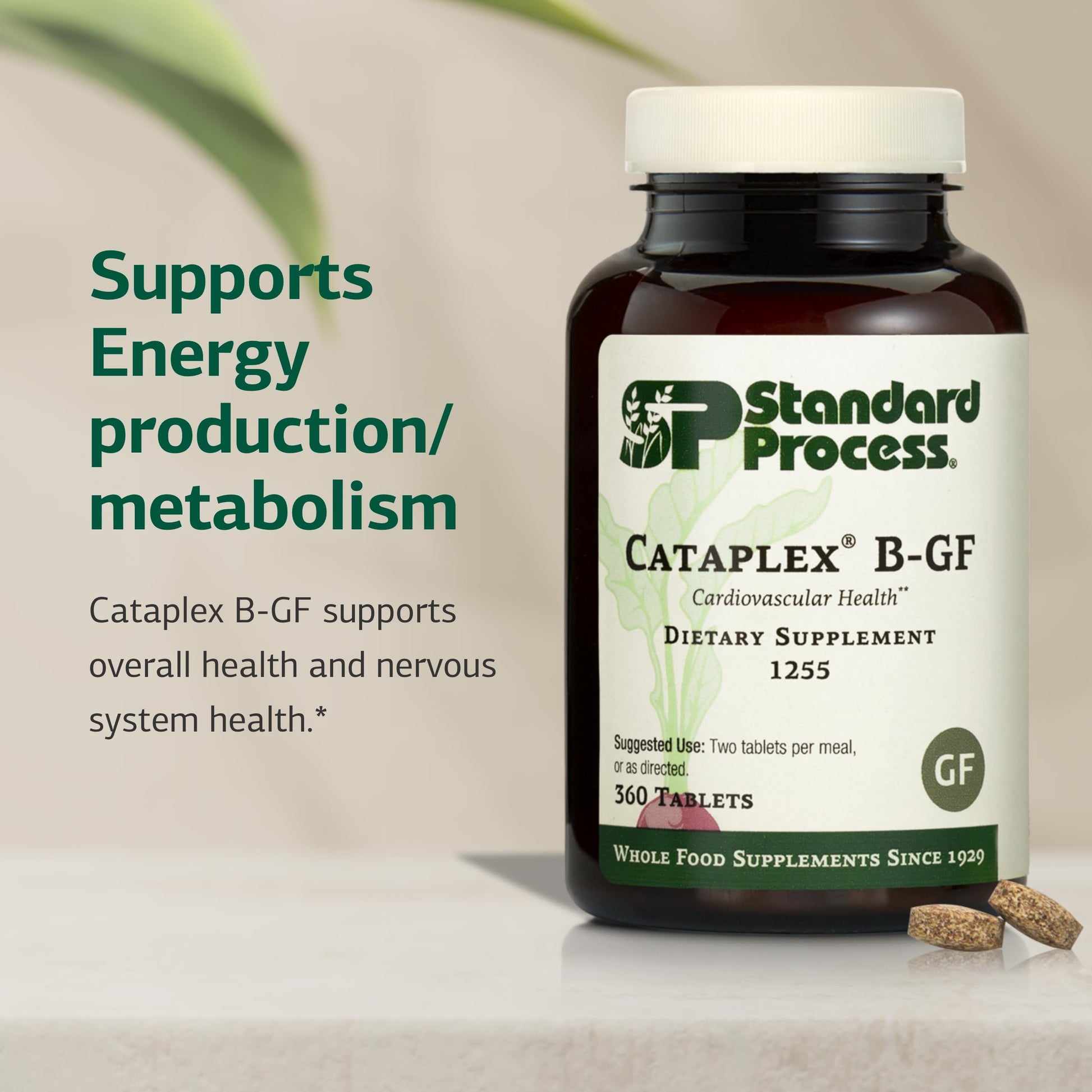 Standard Process Cataplex B-GF - Supports Nervous System Health - B Vitamins for Energy & Heart Support - Aids Energy During Physical Activity - Gluten-Free, Non-Soy & Non-Dairy - 360 Tablets Standard Process Inc.Au supplements