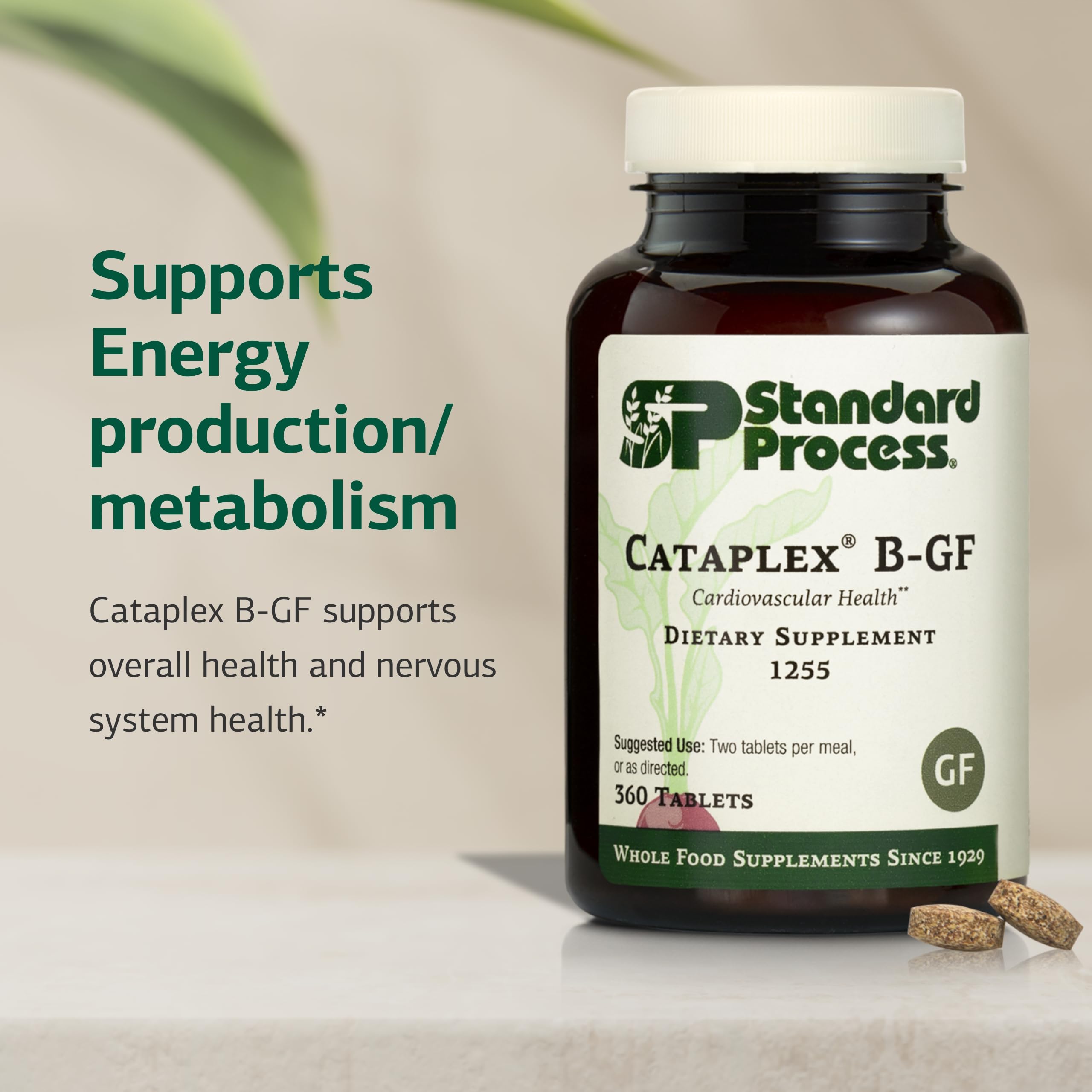 Standard Process Cataplex B-GF - Supports Nervous System Health - B Vitamins for Energy & Heart Support - Aids Energy During Physical Activity - Gluten-Free, Non-Soy & Non-Dairy - 360 Tablets Standard Process Inc.Au supplements