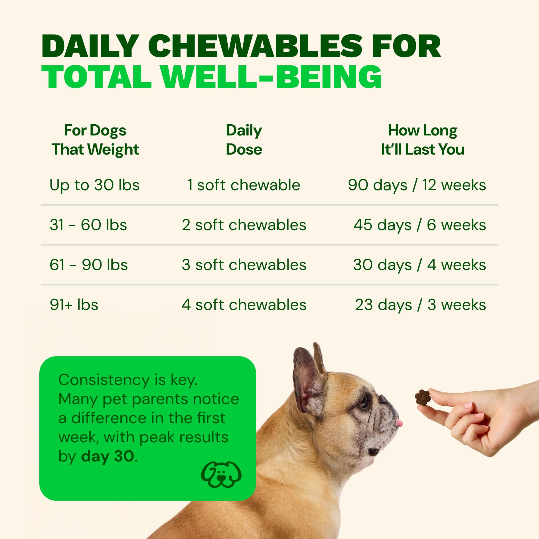 Get Joy Digestion Chews, Gut Health Supplement for Dogs, Vet Recommended Soft Daily Digestive Health & Immune Support with Prebiotics, Probiotics & Postbiotics, Made in USA, 90 Count Get JoyAu supplements