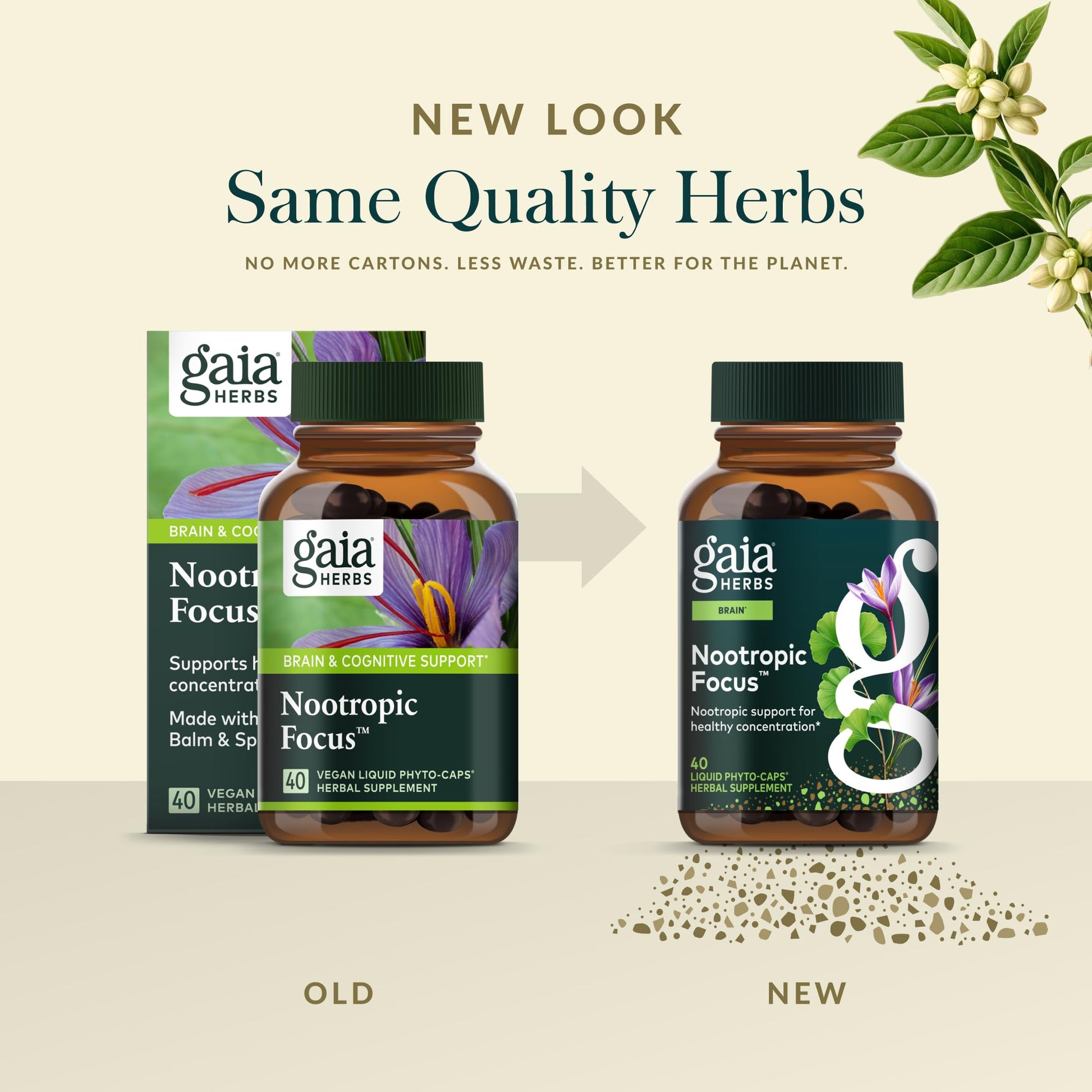Gaia Herbs Nootropic Focus - Brain & Cognitive Support Supplement to Help Maintain Healthy Concentration* - with Saffron, Lemon Balm & Spearmint - 40 Liquid Phyto-Capsules (20 Servings) Gaia HerbsAu supplements