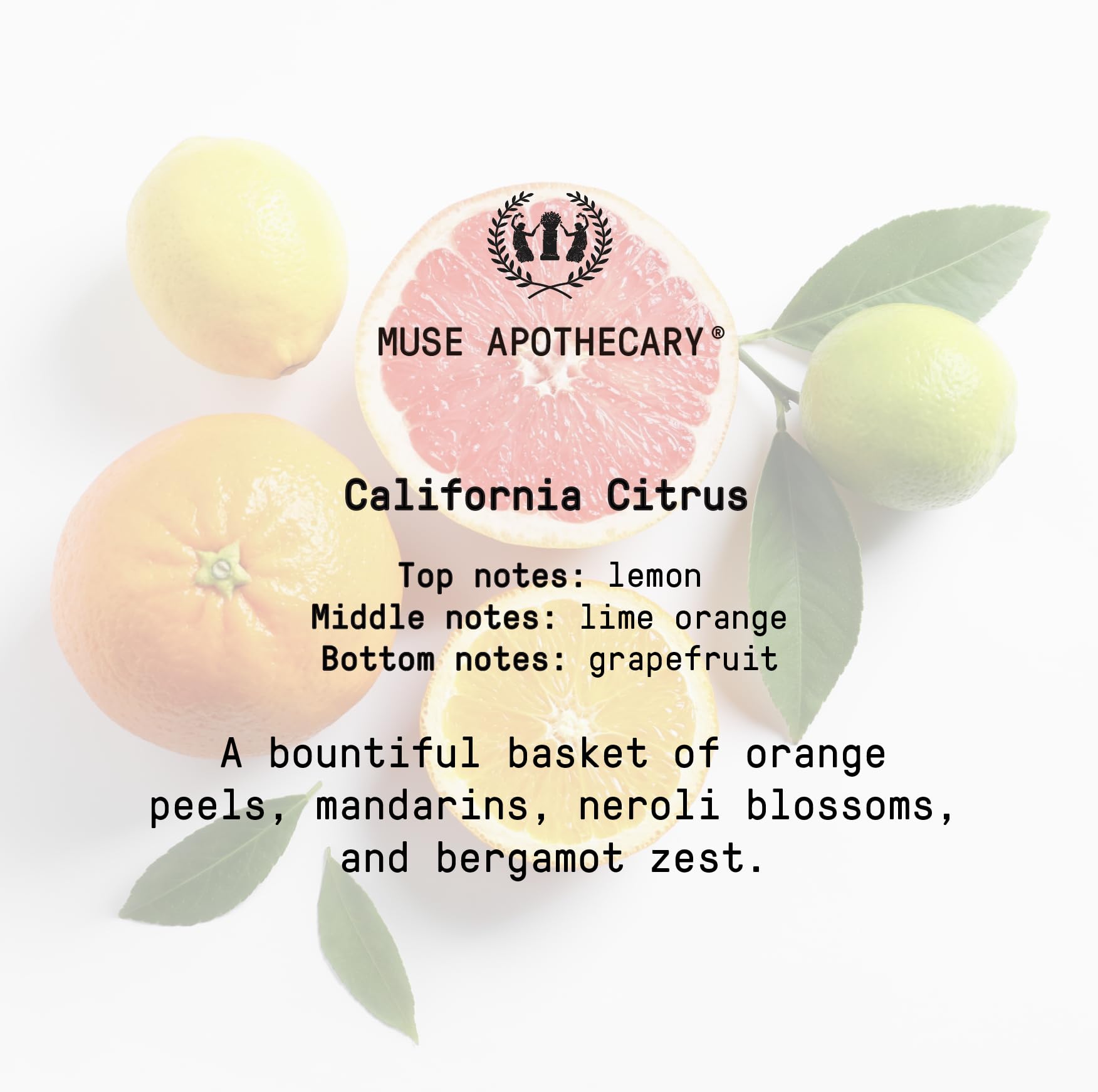 Muse Bath Apothecary Room Ritual - Aromatic and Relaxing Room Mist, 8 oz, Infused Muse ApothecaryAu supplements